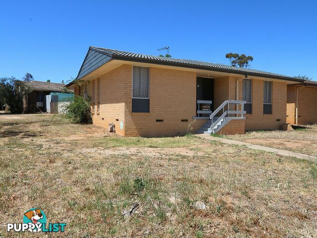 43 Adams Street ASHMONT NSW 2650