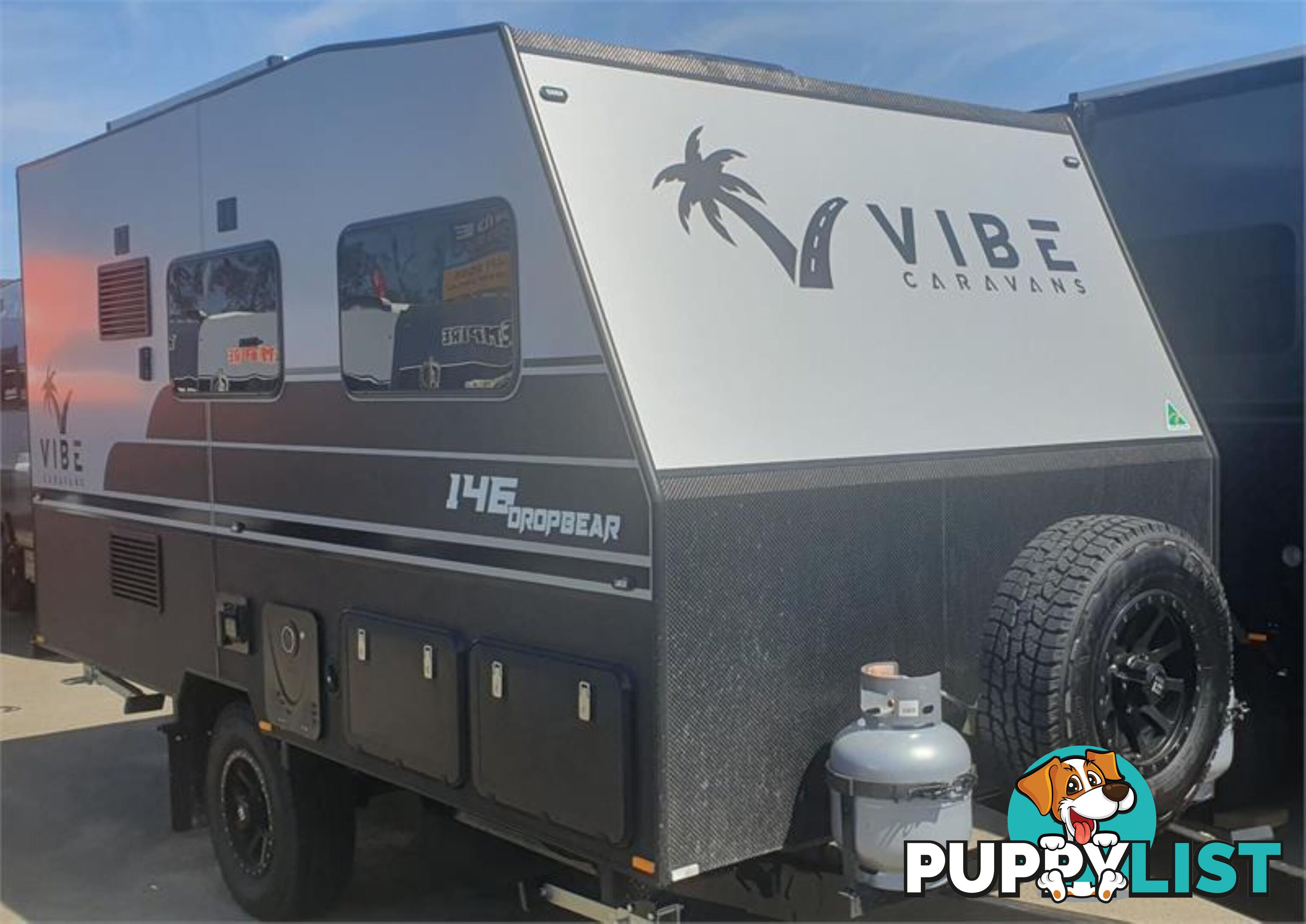 2024 VIBE DROP BEAR