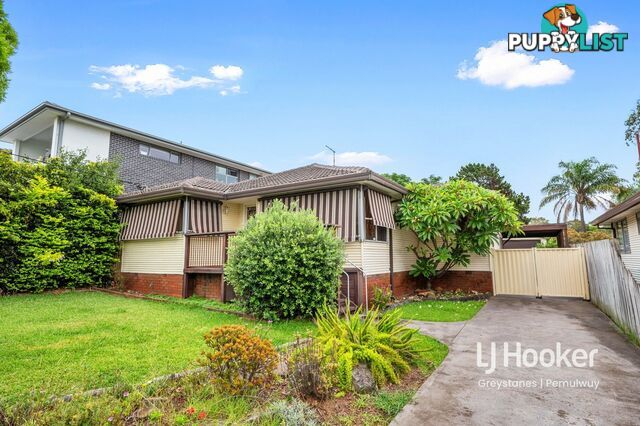 43 Canal Road GREYSTANES NSW 2145