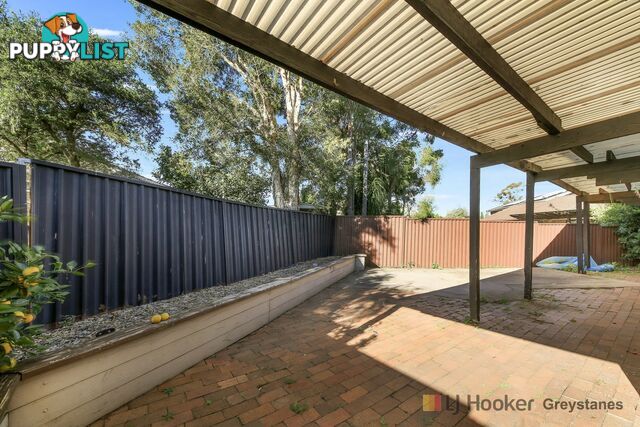 11 Acacia Place GREYSTANES NSW 2145