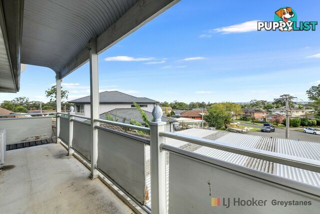 11 Acacia Place GREYSTANES NSW 2145