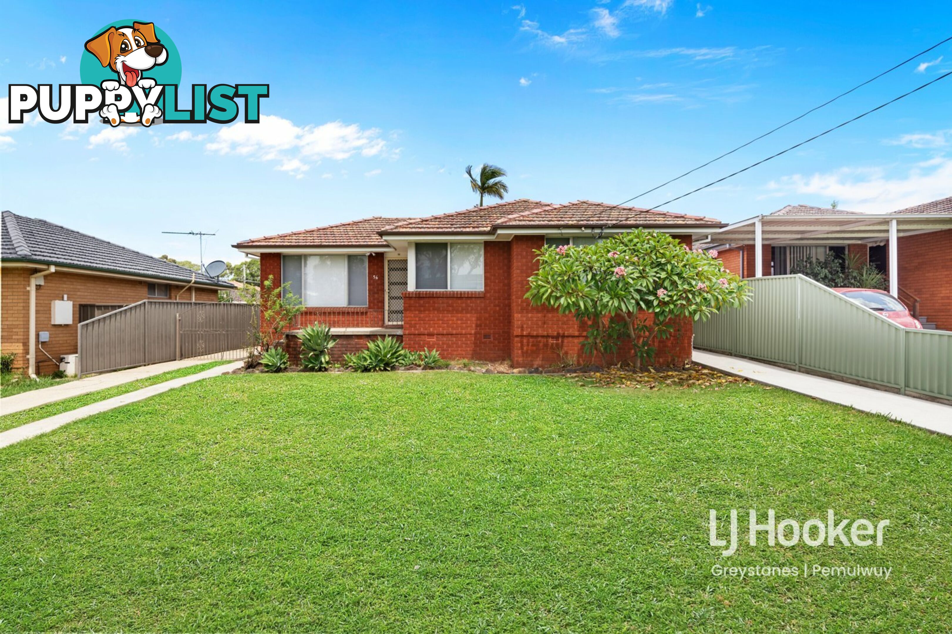 56 Baden Street GREYSTANES NSW 2145