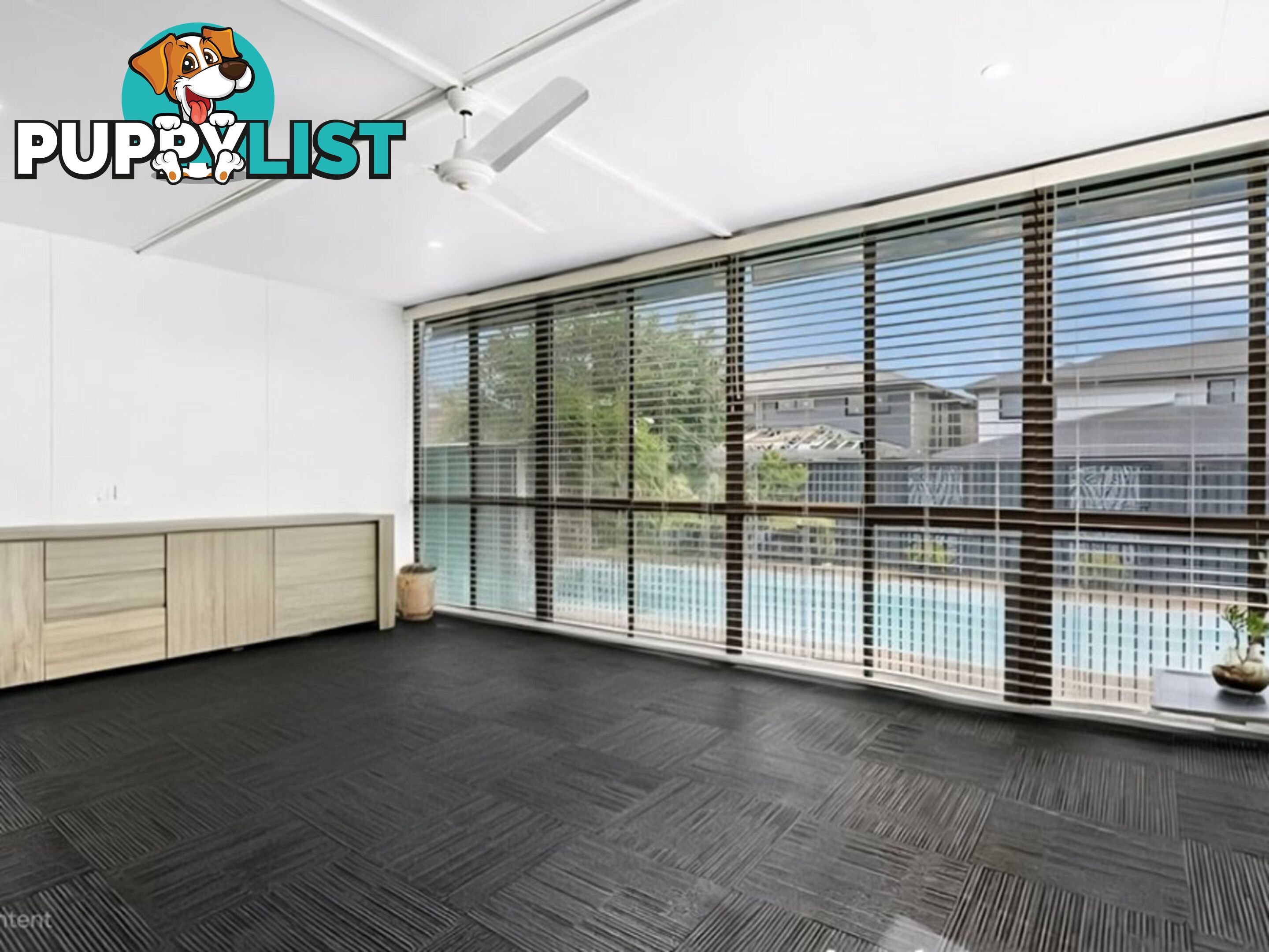 29 Ivan Street GREYSTANES NSW 2145