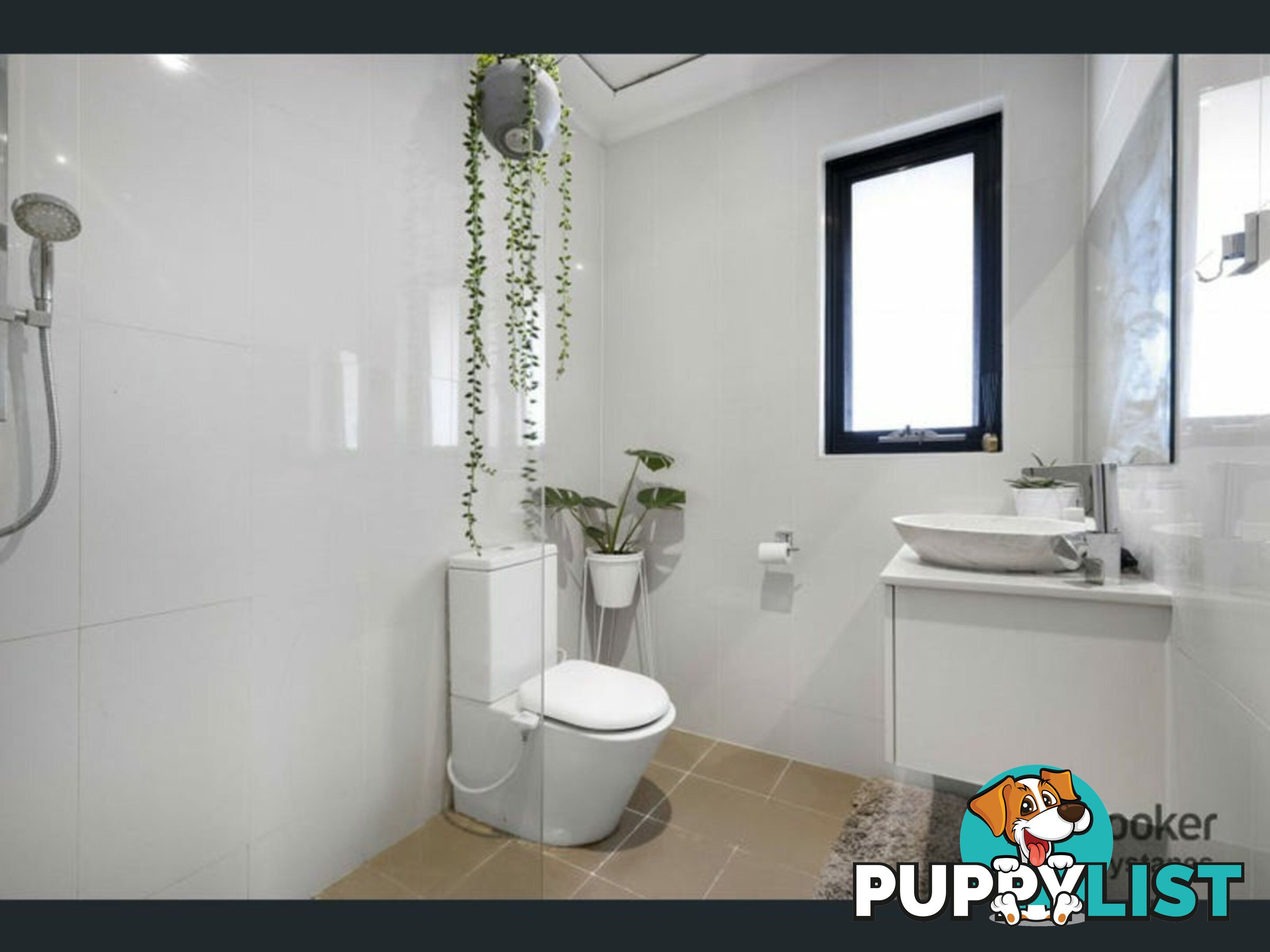 5 Royal Place GREYSTANES NSW 2145