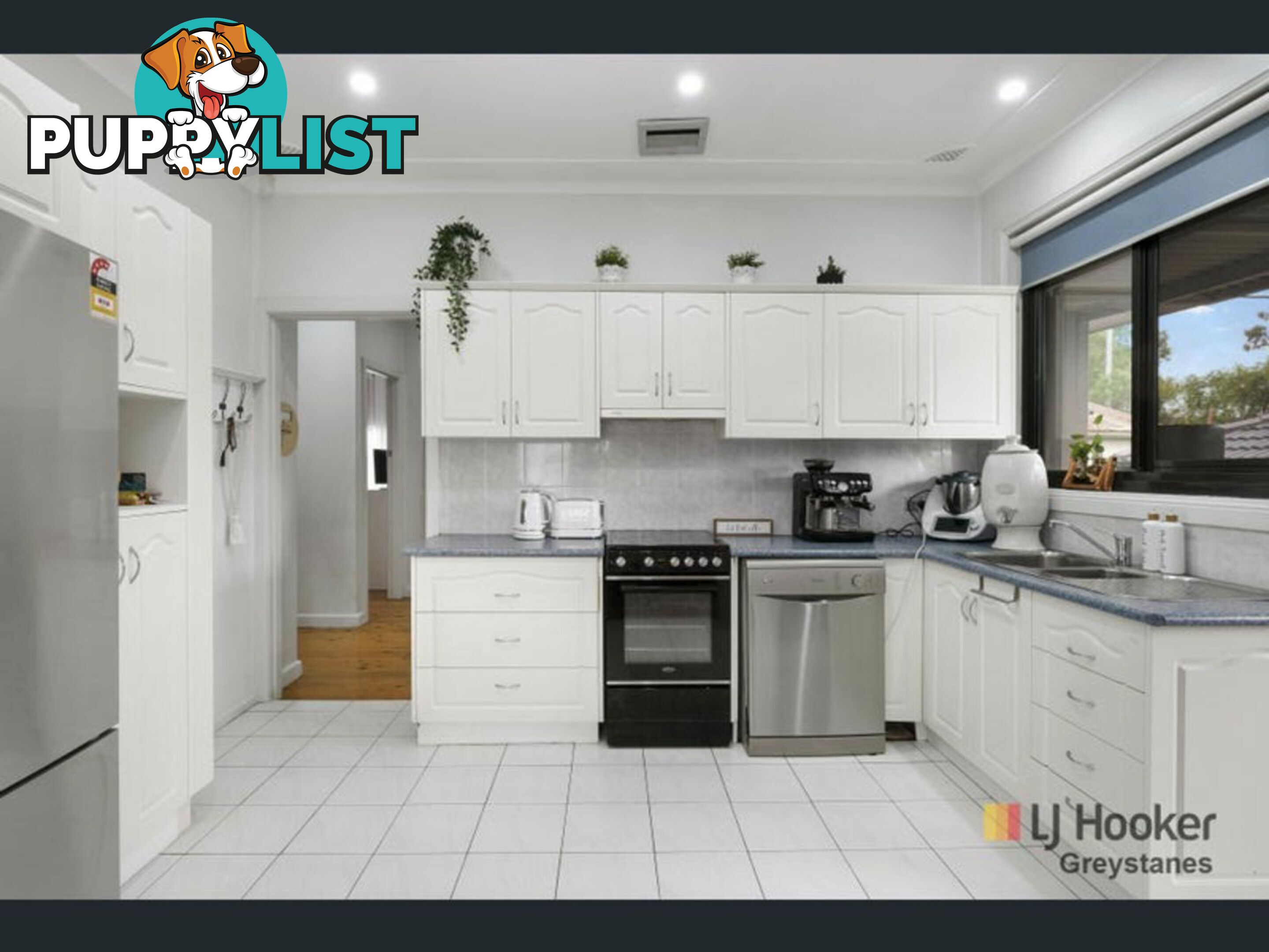 5 Royal Place GREYSTANES NSW 2145