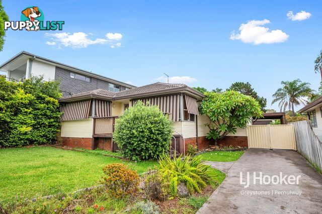 43 Canal Rd GREYSTANES NSW 2145