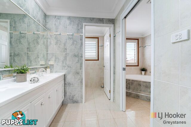 41 Forest Gum Place GREYSTANES NSW 2145