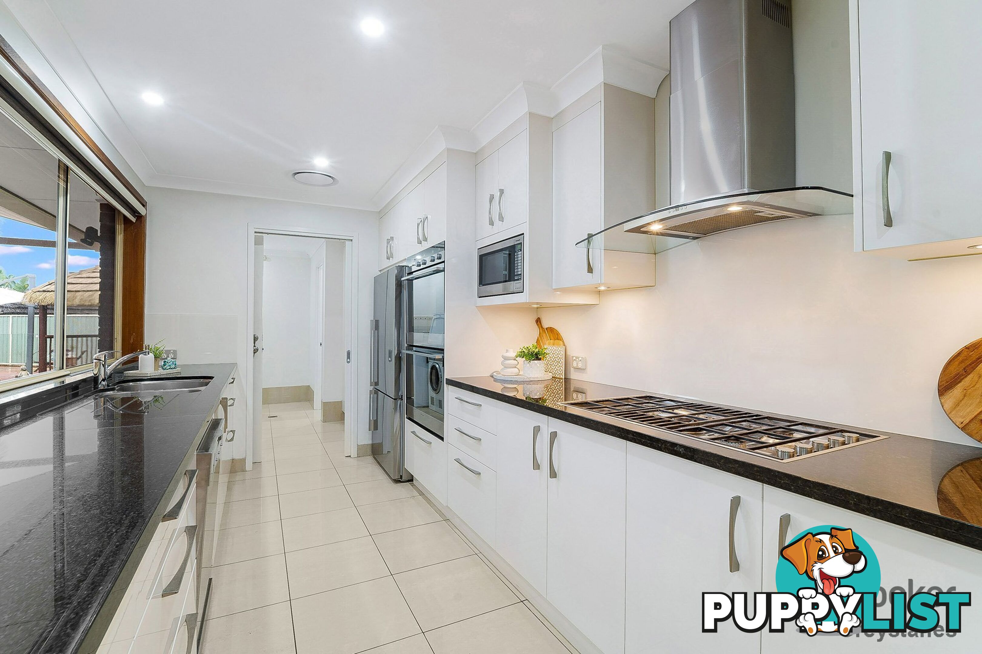 41 Forest Gum Place GREYSTANES NSW 2145