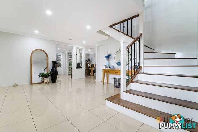 41 Forest Gum Place GREYSTANES NSW 2145