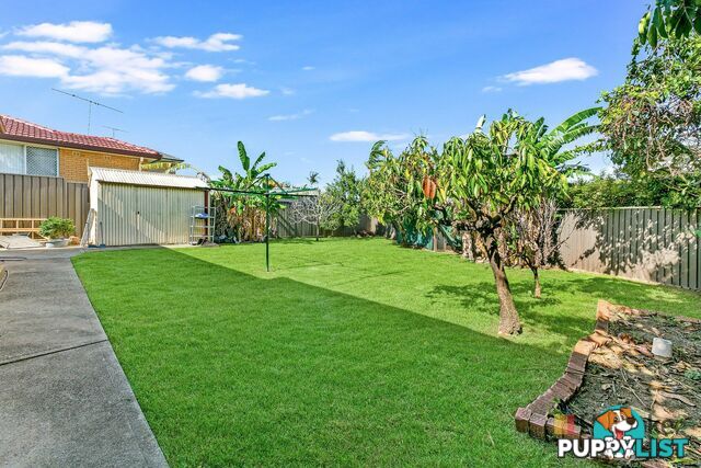 124 Braeside Road GREYSTANES NSW 2145