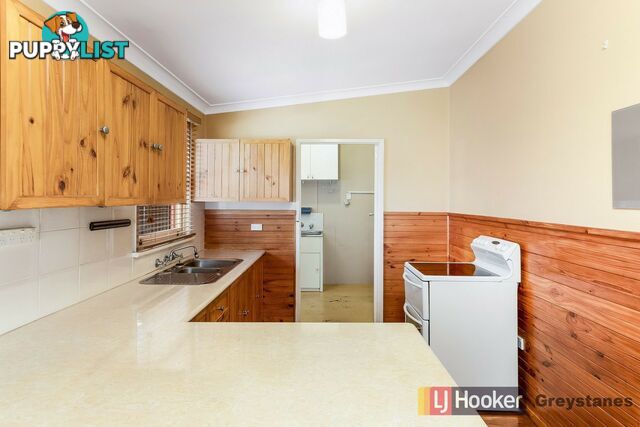 49 Hanbury Street GREYSTANES NSW 2145