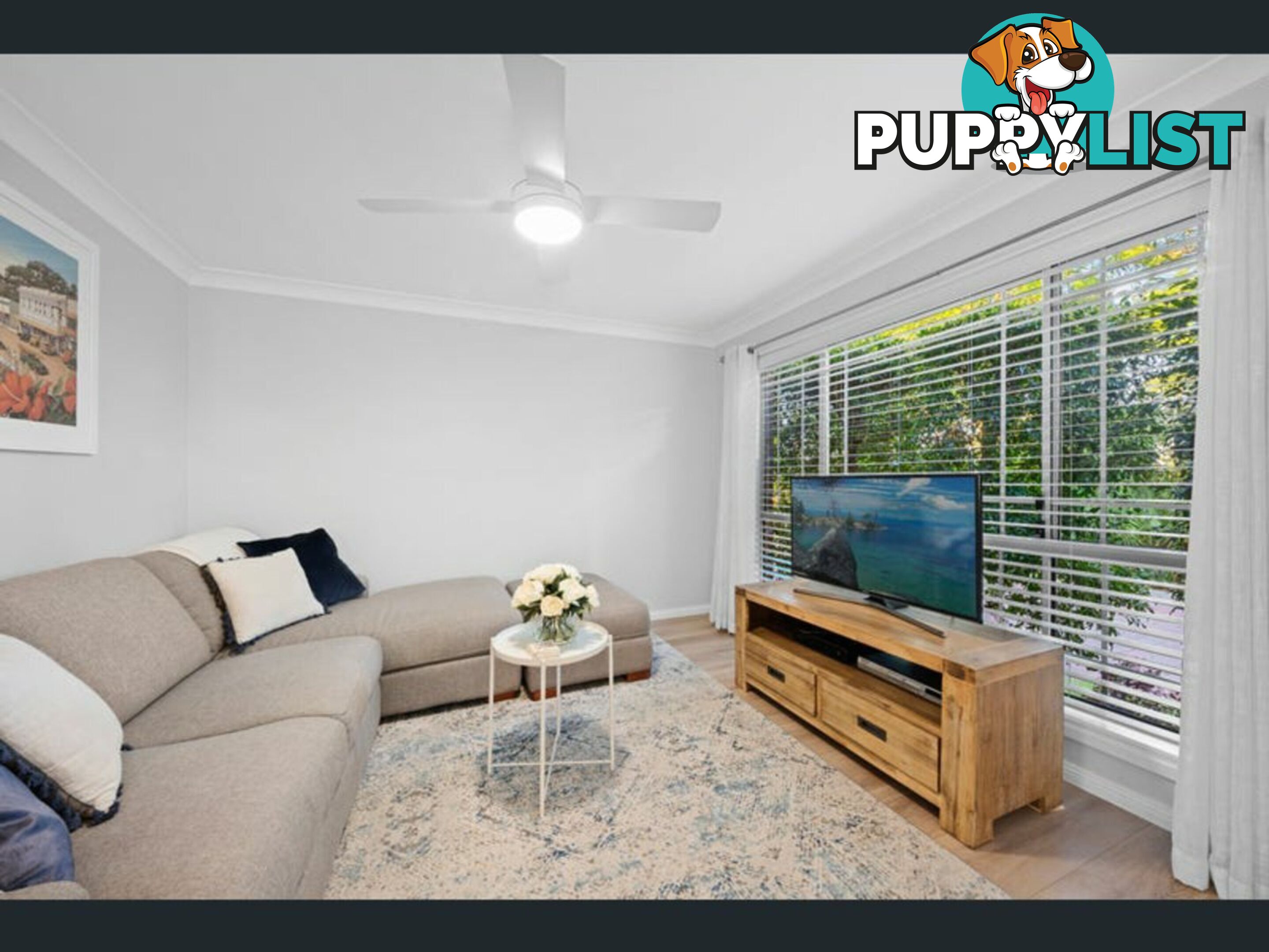 5/62 Adler Parade GREYSTANES NSW 2145