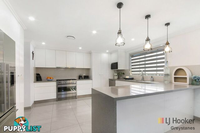 7 Tulip Street GREYSTANES NSW 2145