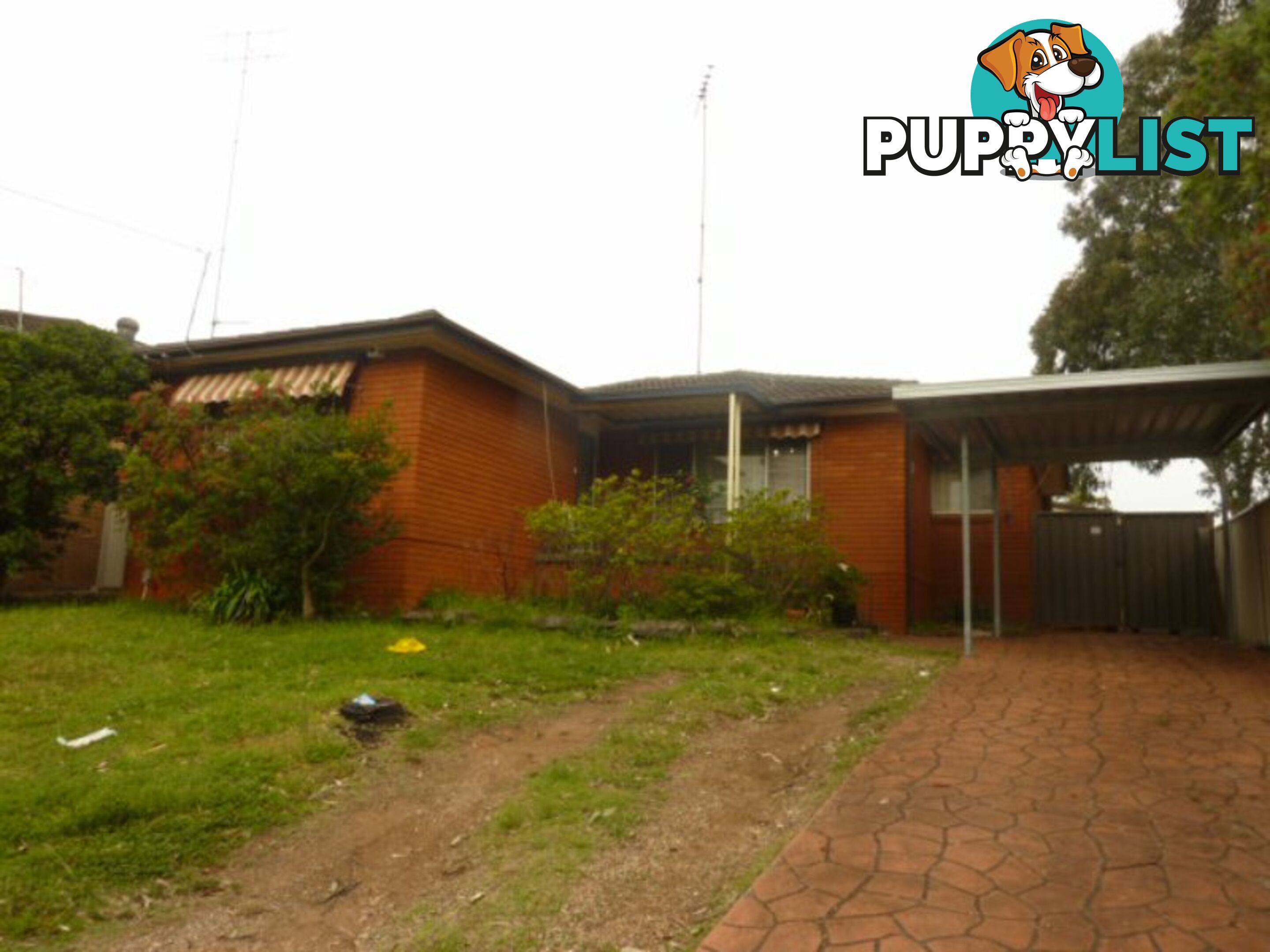 34 Munro Street GREYSTANES NSW 2145