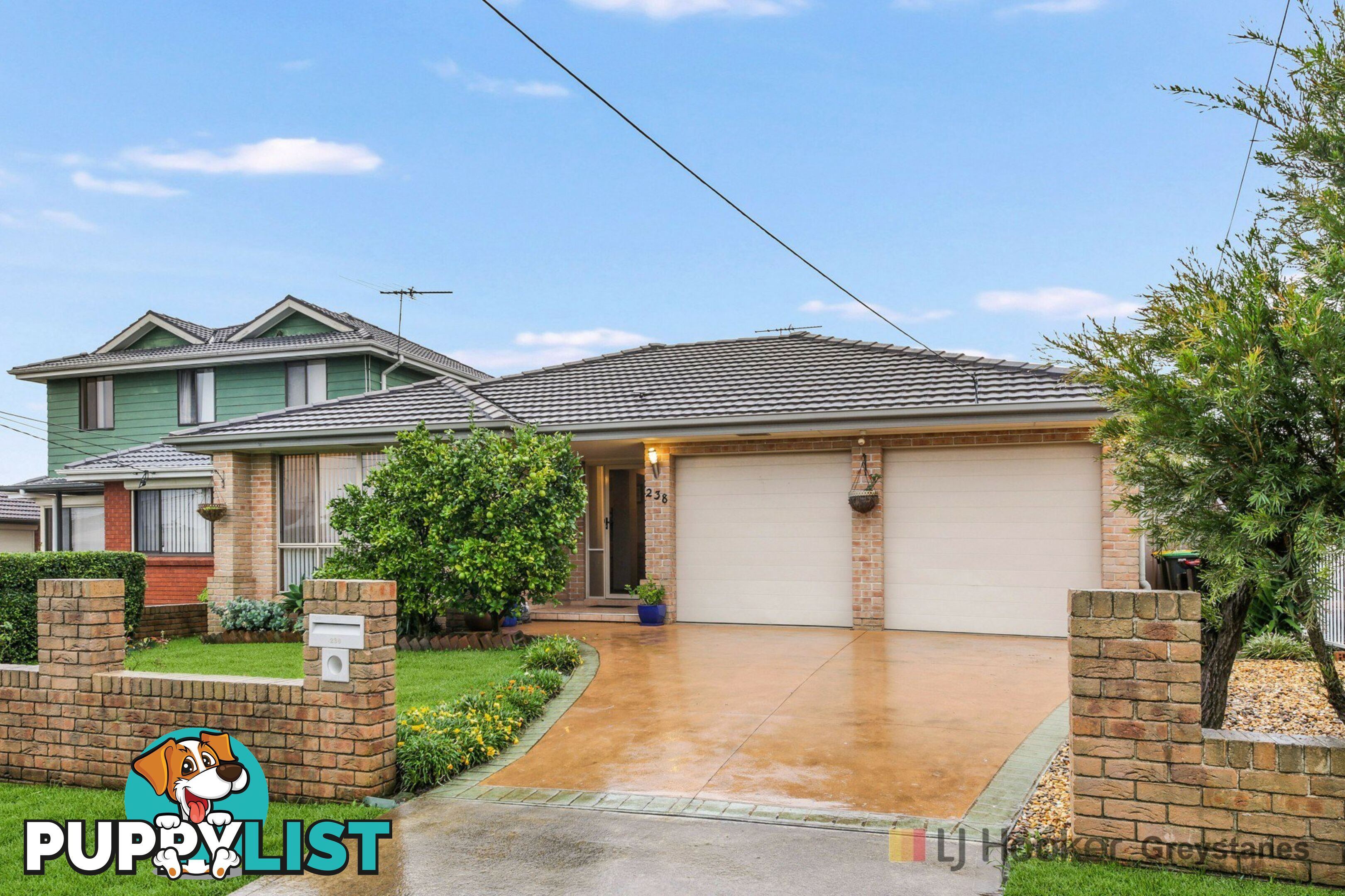 238 Darling Street GREYSTANES NSW 2145