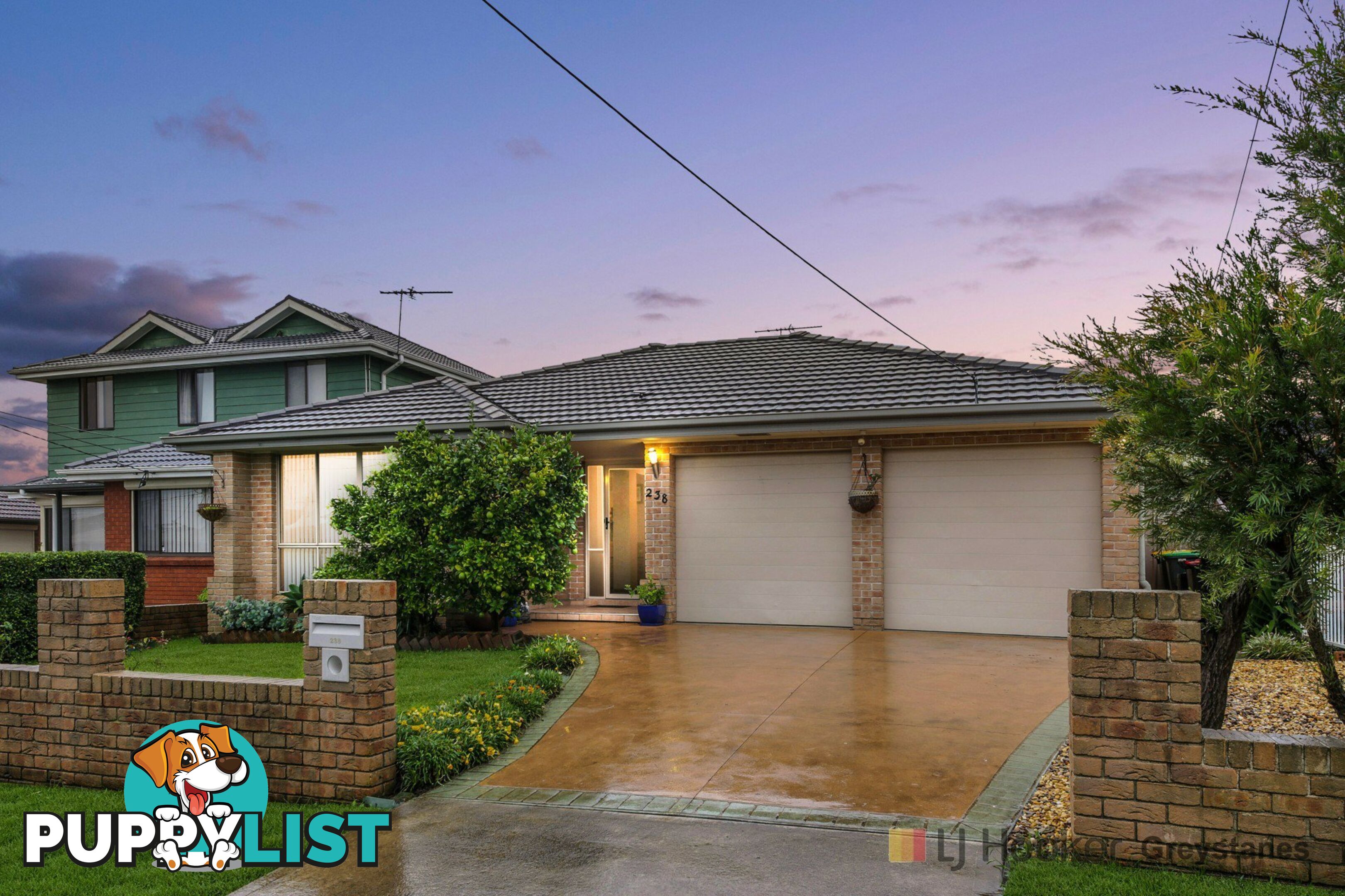 238 Darling Street GREYSTANES NSW 2145