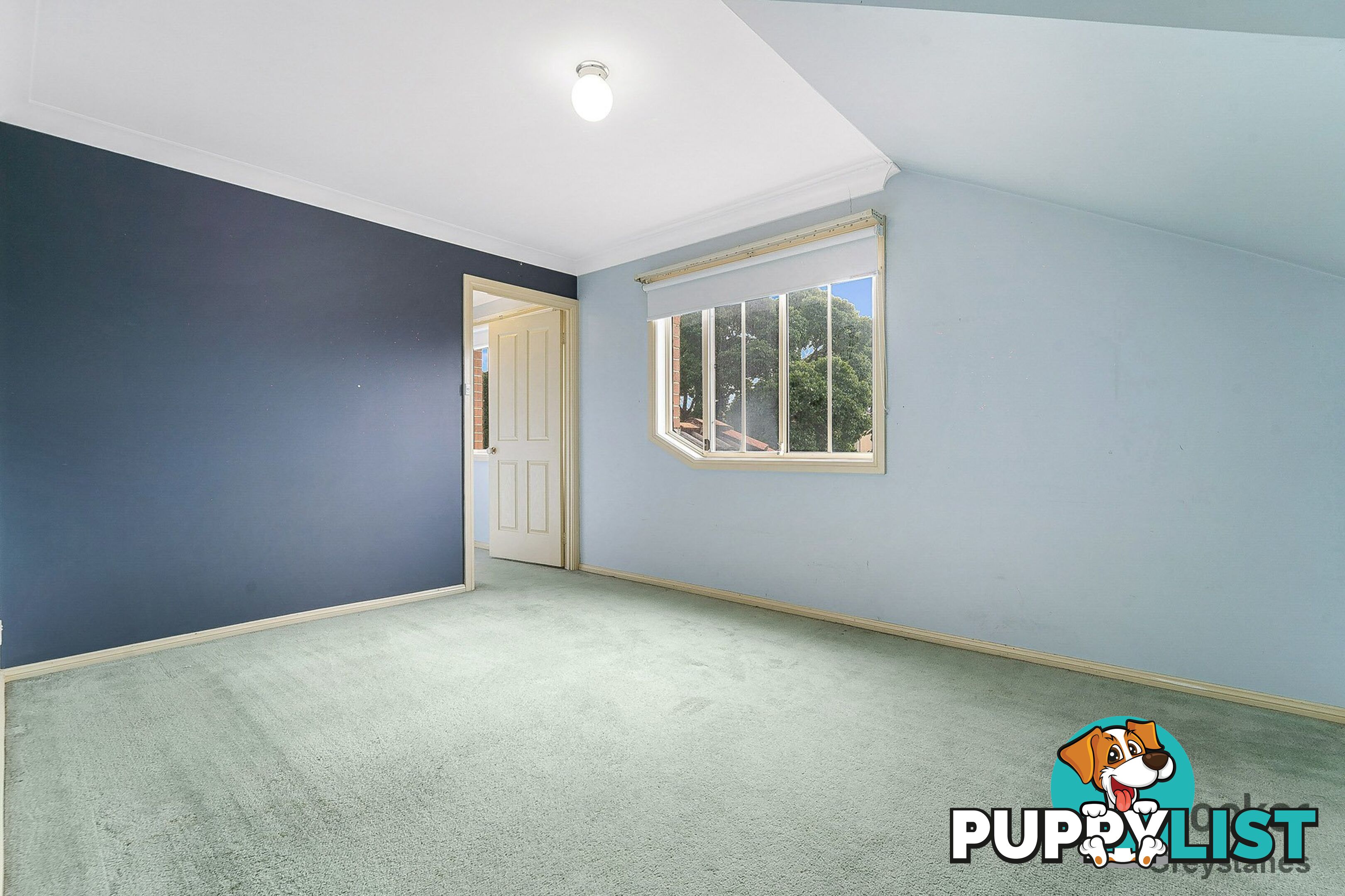 13 Spotted Gum Place GREYSTANES NSW 2145