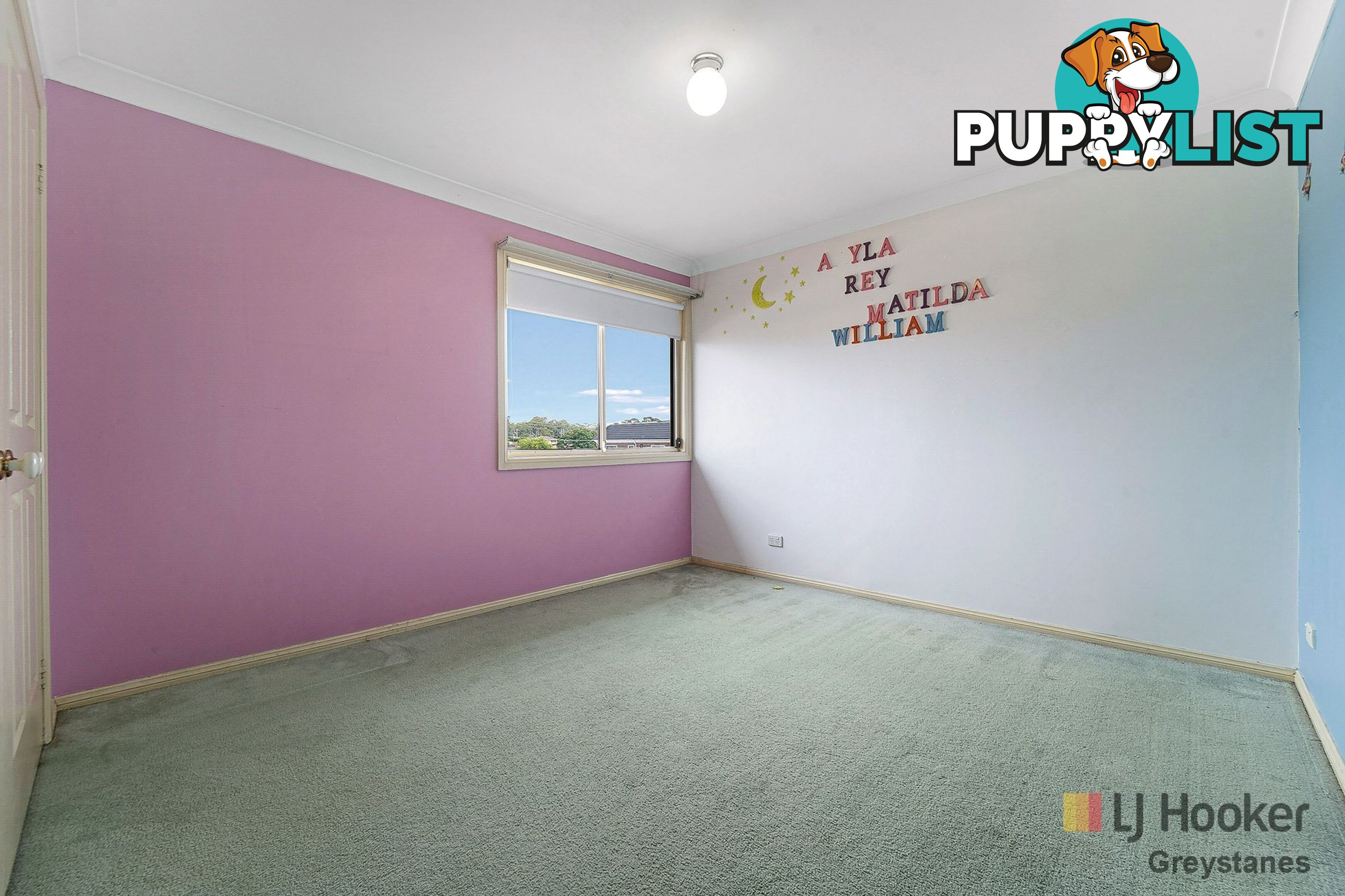 13 Spotted Gum Place GREYSTANES NSW 2145