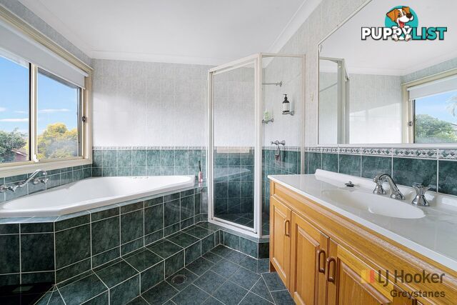 13 Spotted Gum Place GREYSTANES NSW 2145