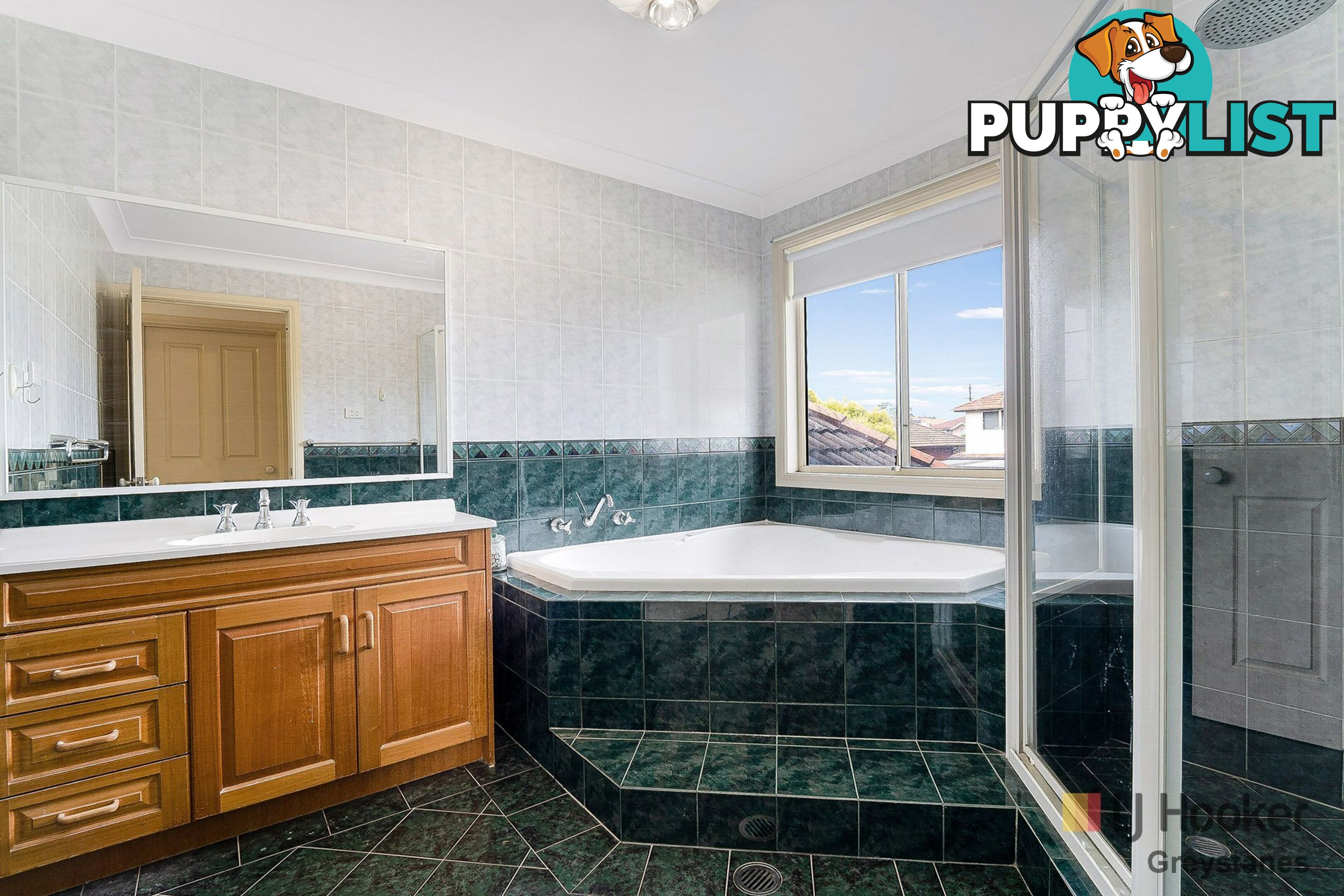 13 Spotted Gum Place GREYSTANES NSW 2145