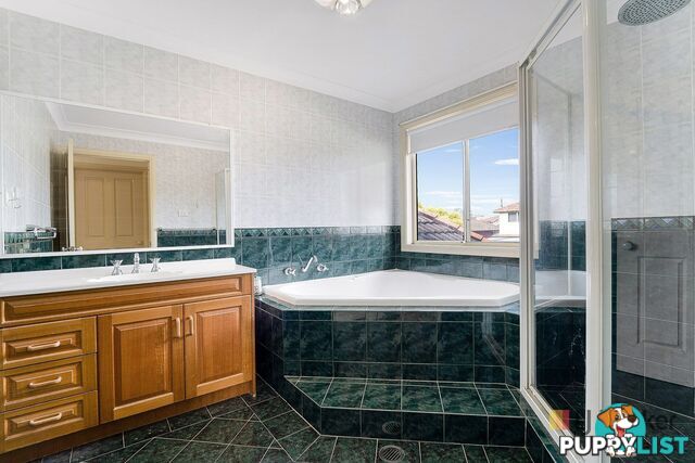 13 Spotted Gum Place GREYSTANES NSW 2145