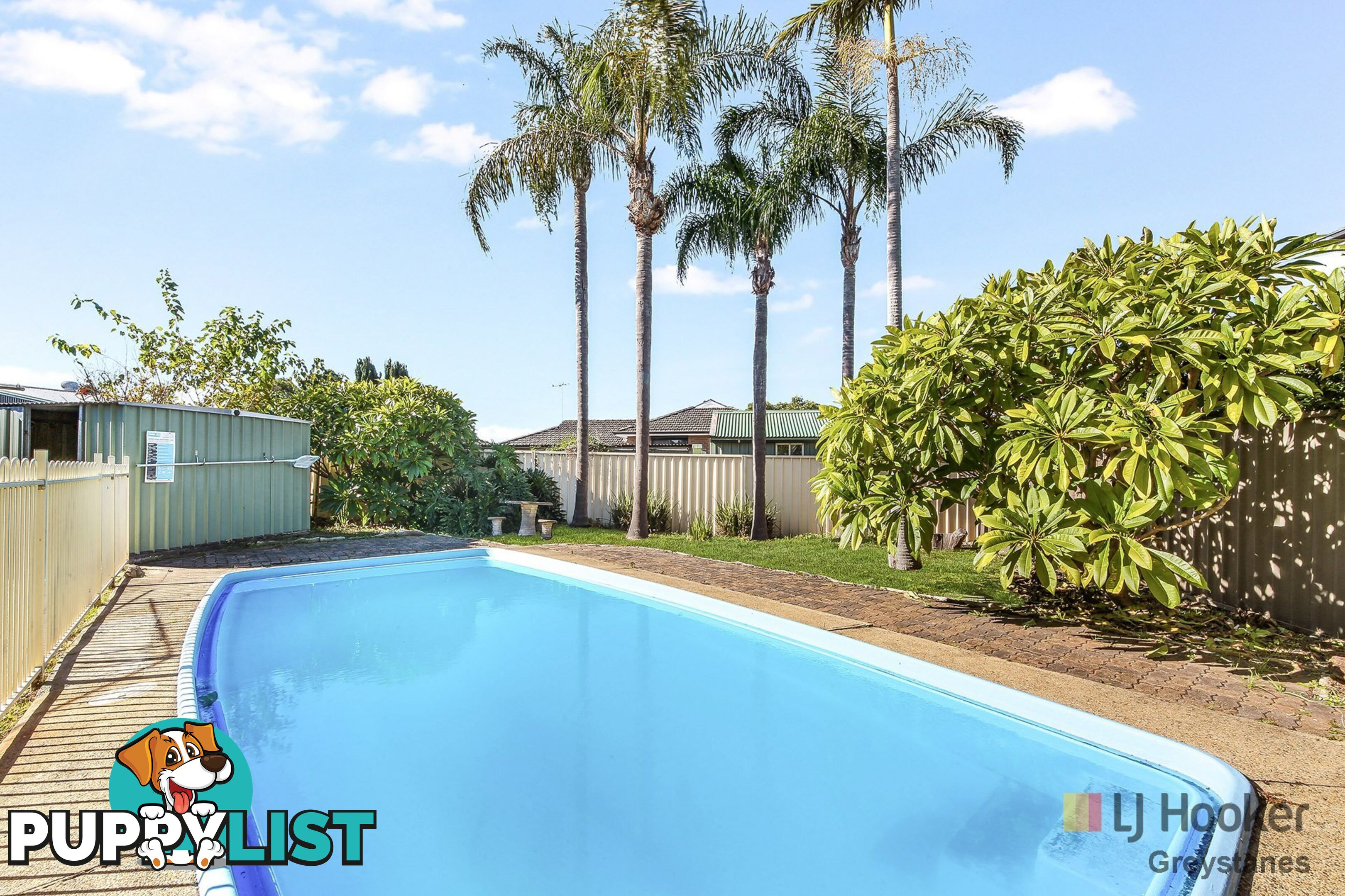 8 Gozo Road GREYSTANES NSW 2145