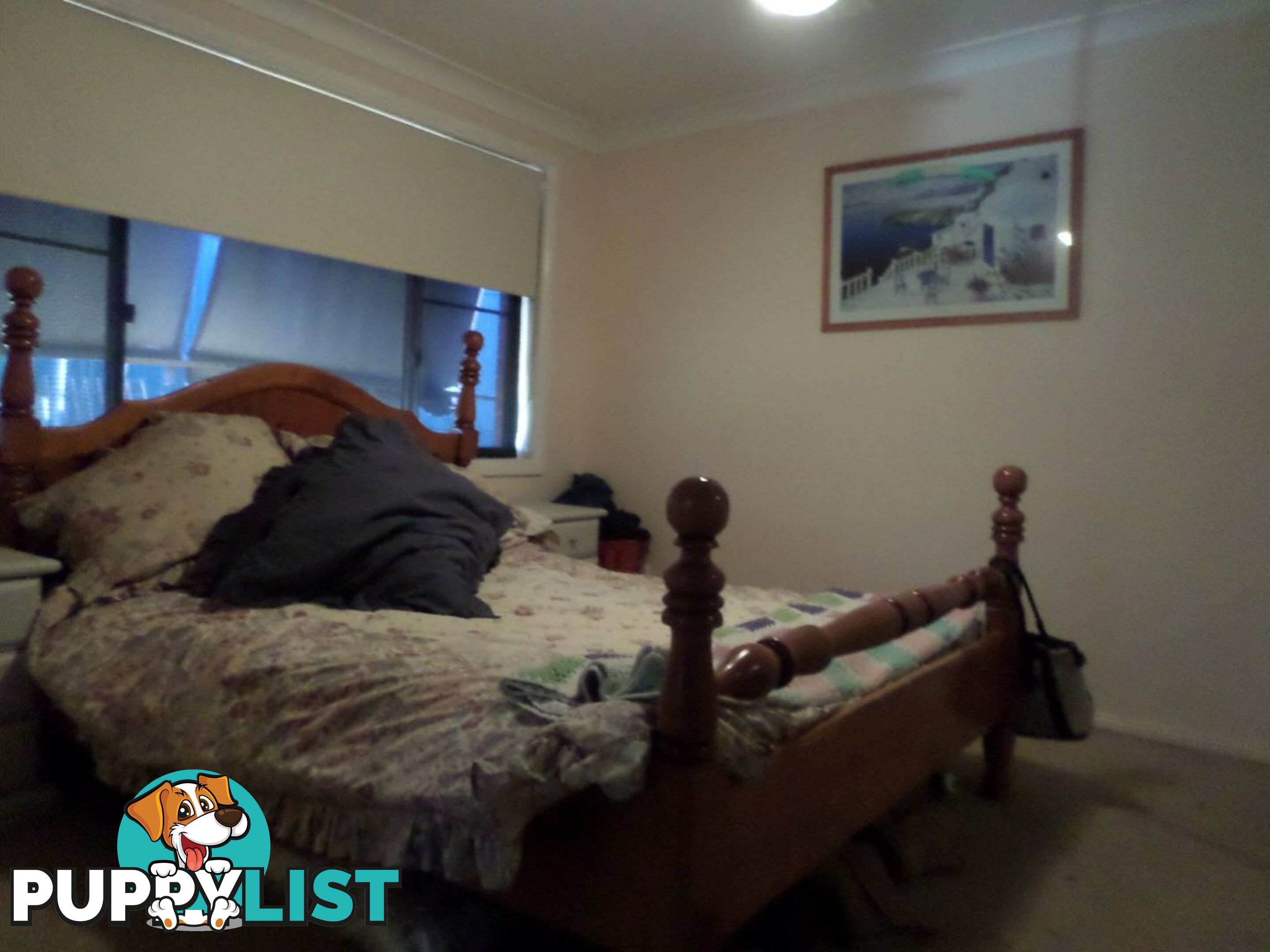 16 Bega Street PENDLE HILL NSW 2145