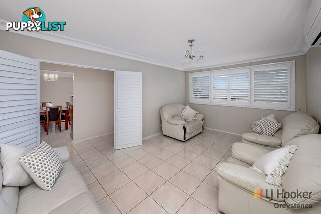 15 Rein Road GREYSTANES NSW 2145