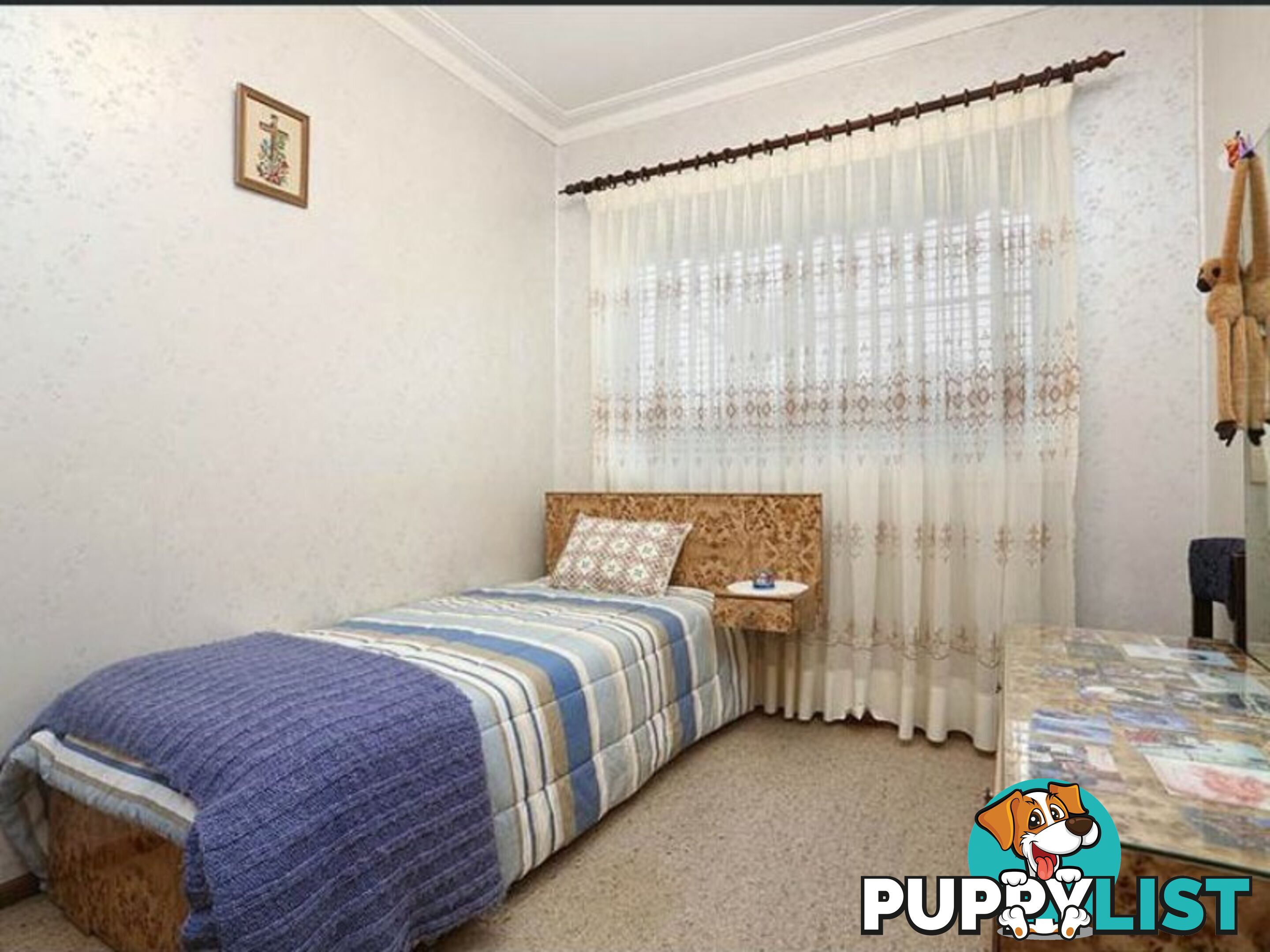 1 Willow Street GREYSTANES NSW 2145