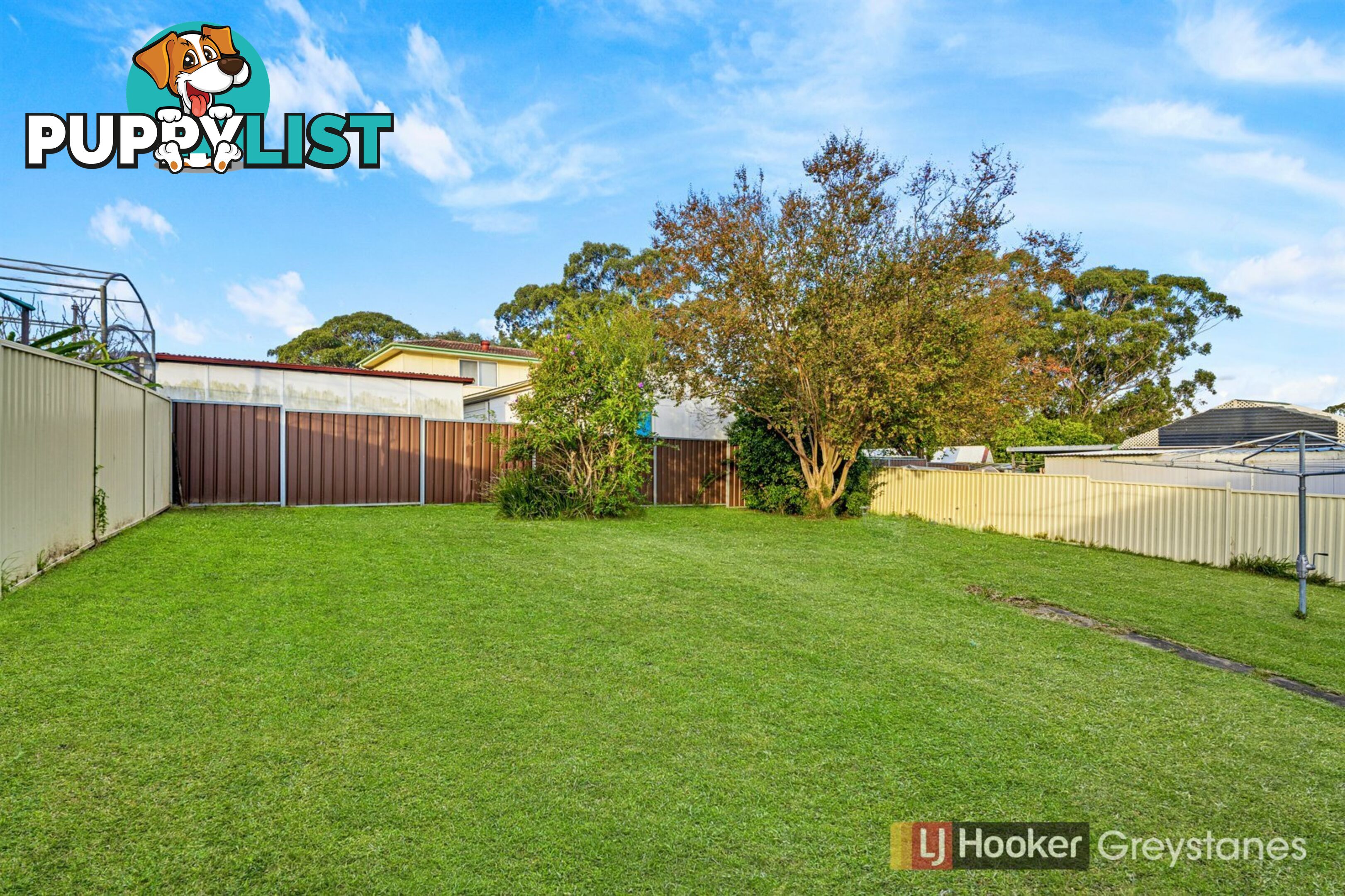 62 TOWNVIEW ROAD MOUNT PRITCHARD NSW 2170