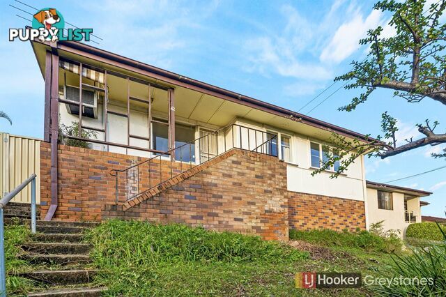 62 TOWNVIEW ROAD MOUNT PRITCHARD NSW 2170