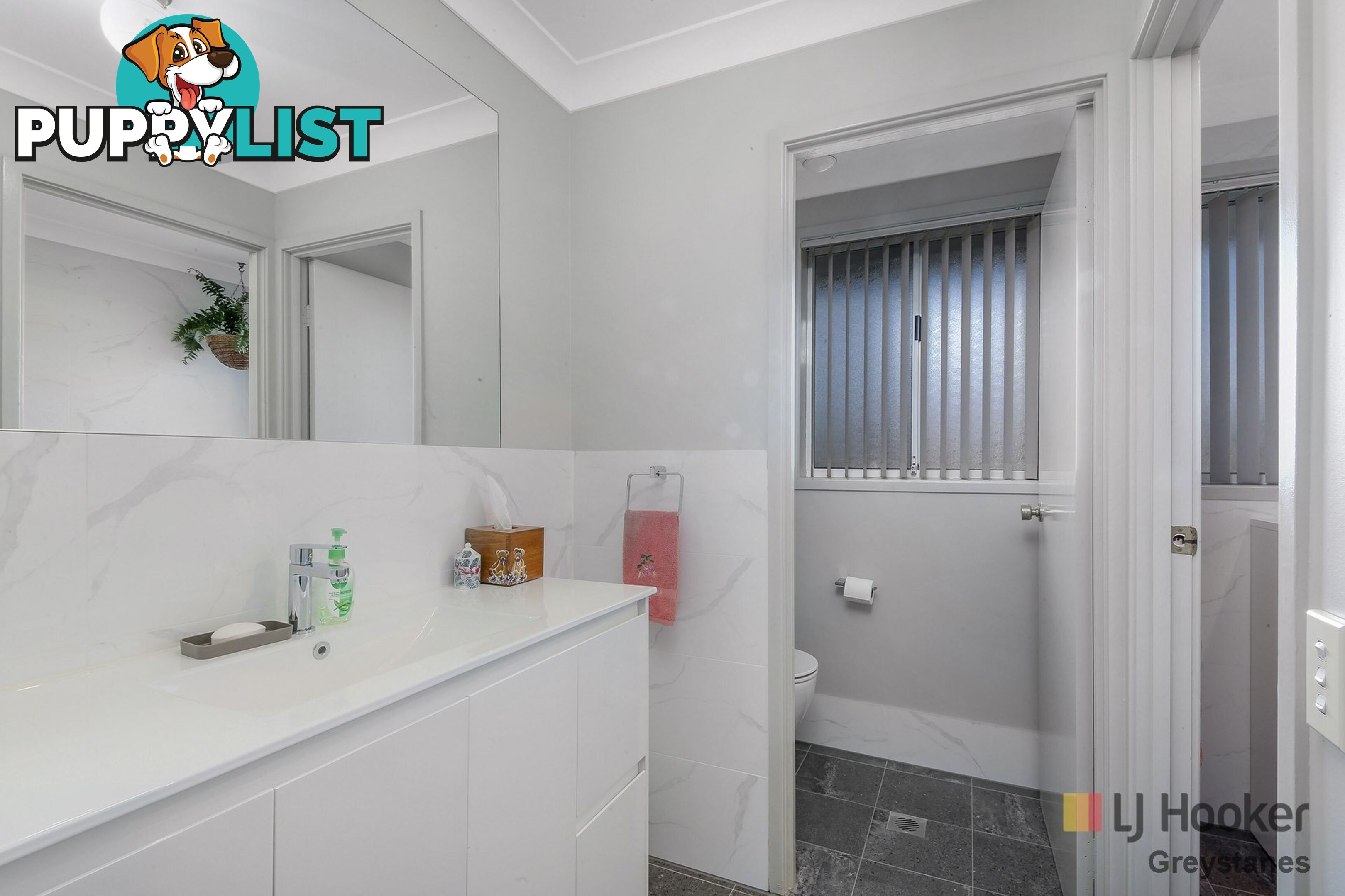 54 Beechwood Avenue GREYSTANES NSW 2145