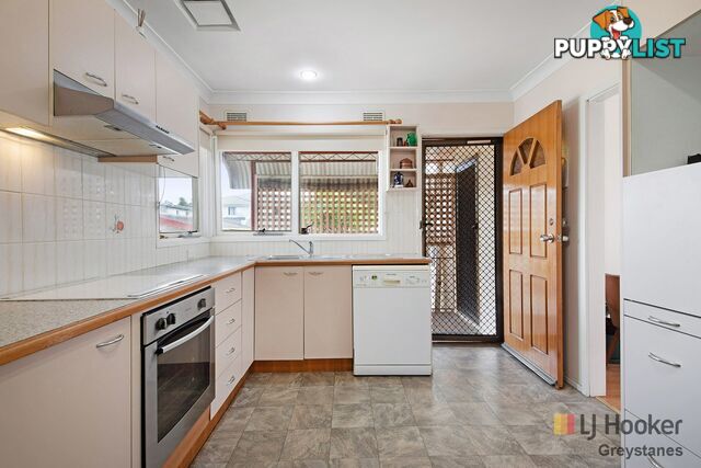 45 Grafton Street GREYSTANES NSW 2145