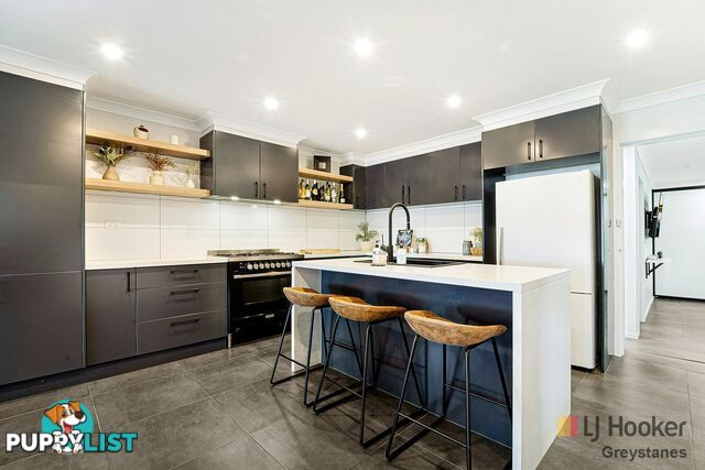 14 Lloyd Street GREYSTANES NSW 2145