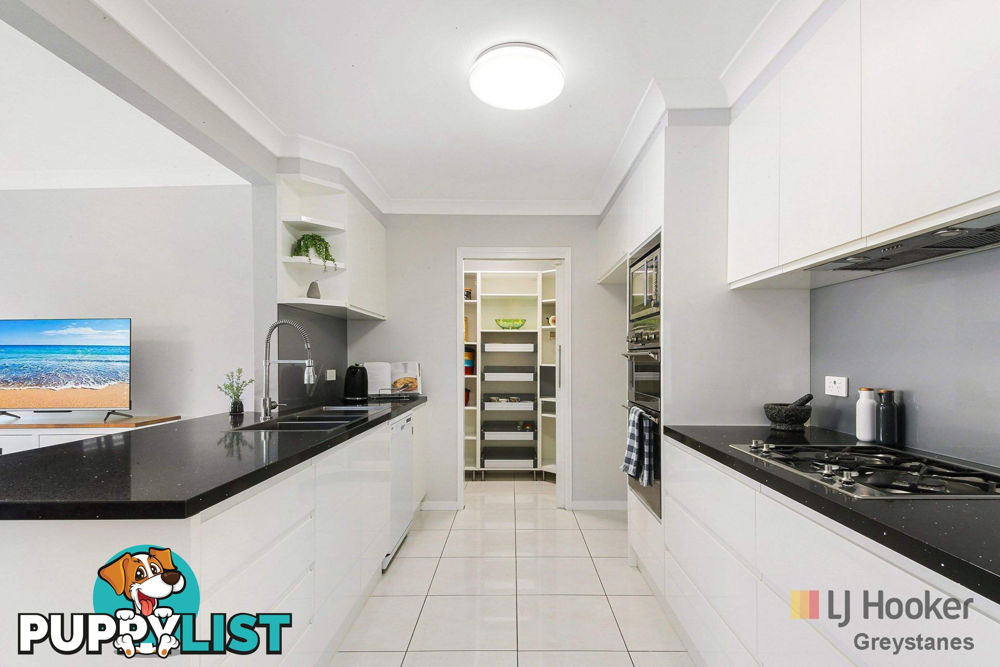 34 Kiama Street GREYSTANES NSW 2145
