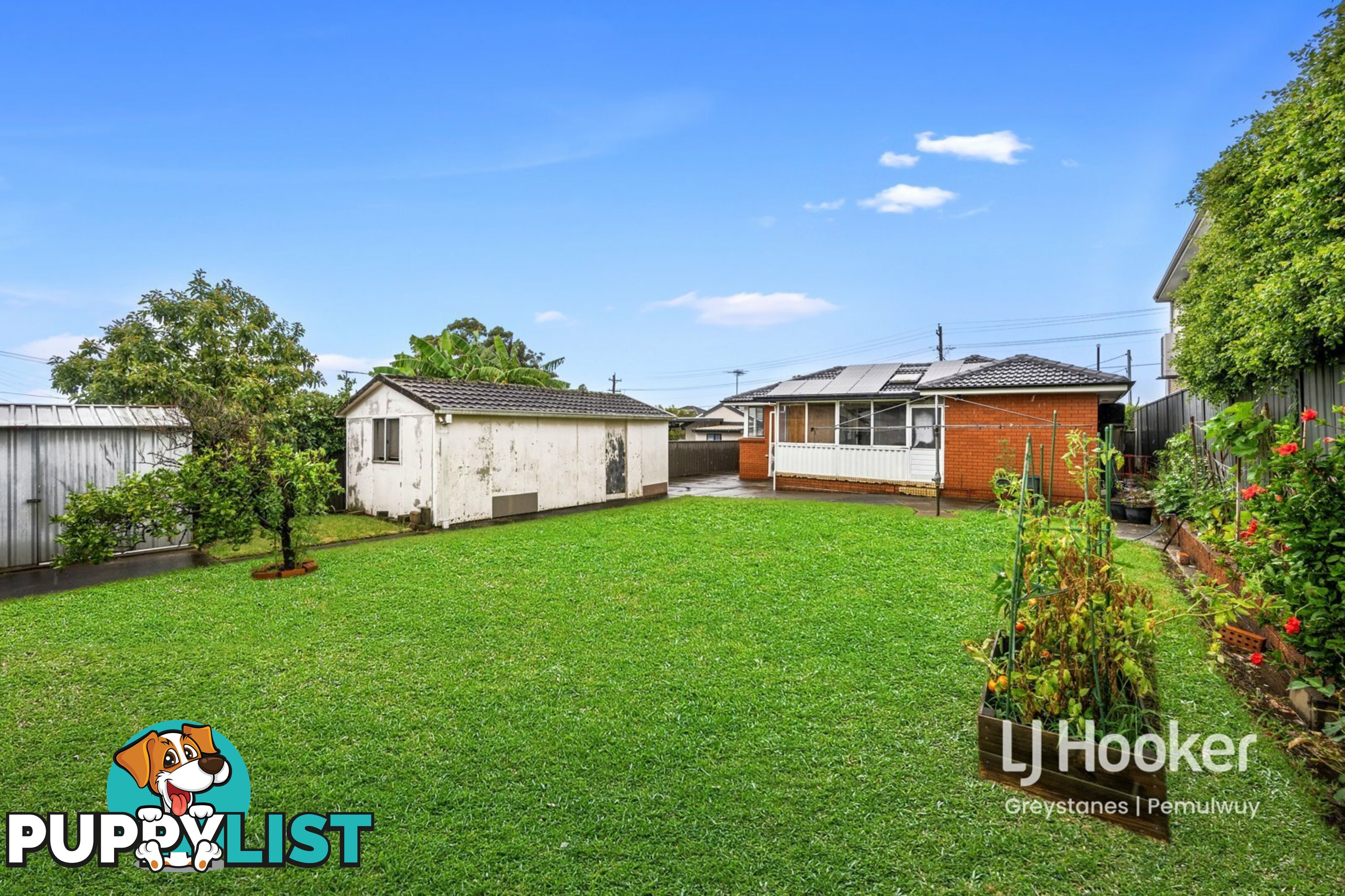 71 DAWN STREET GREYSTANES NSW 2145