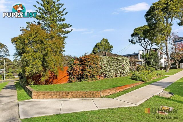 66 Alpha Road GREYSTANES NSW 2145