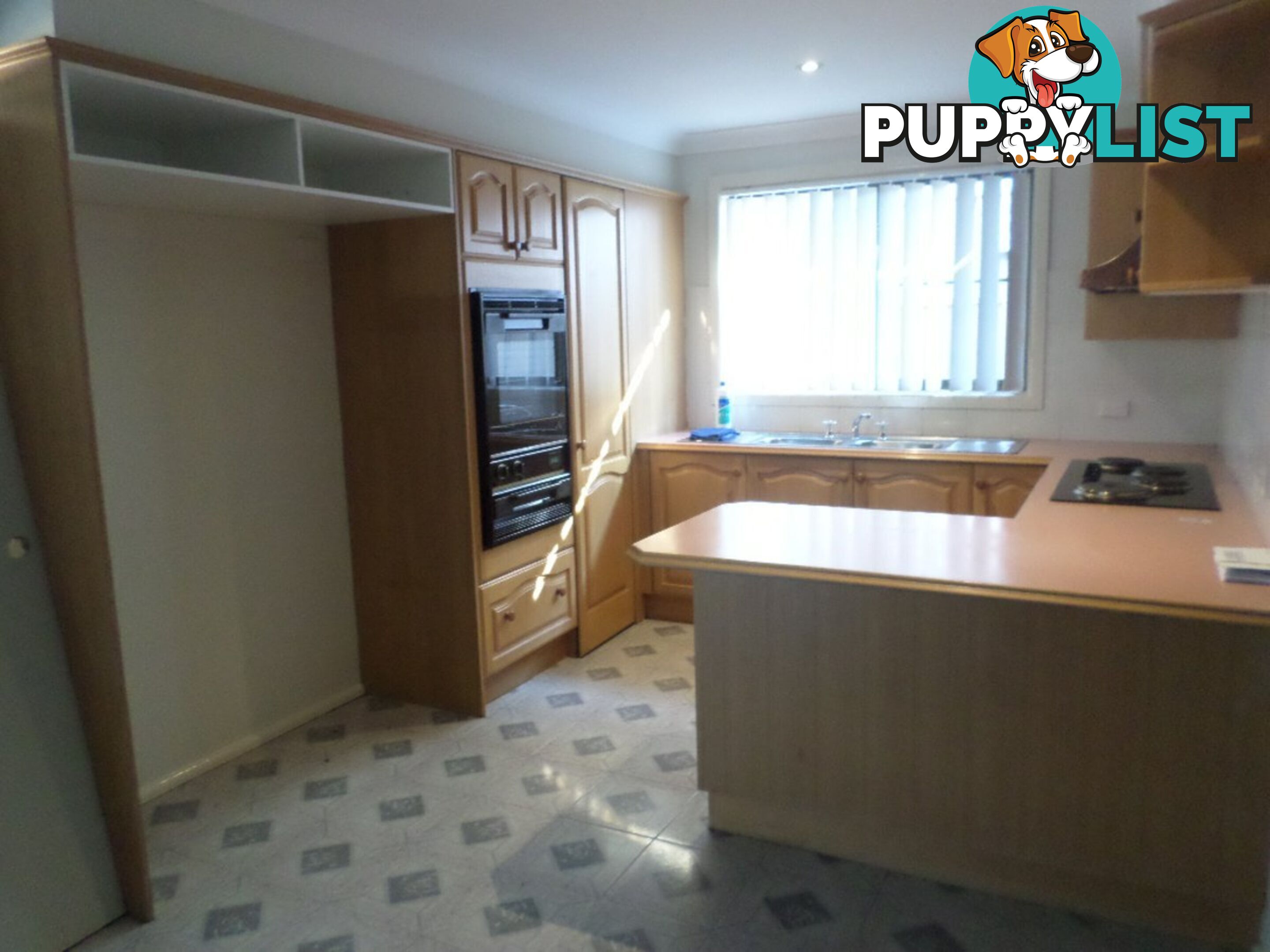 1 Kalang Road GREYSTANES NSW 2145