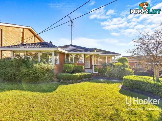 4 Daniel Street GREYSTANES NSW 2145