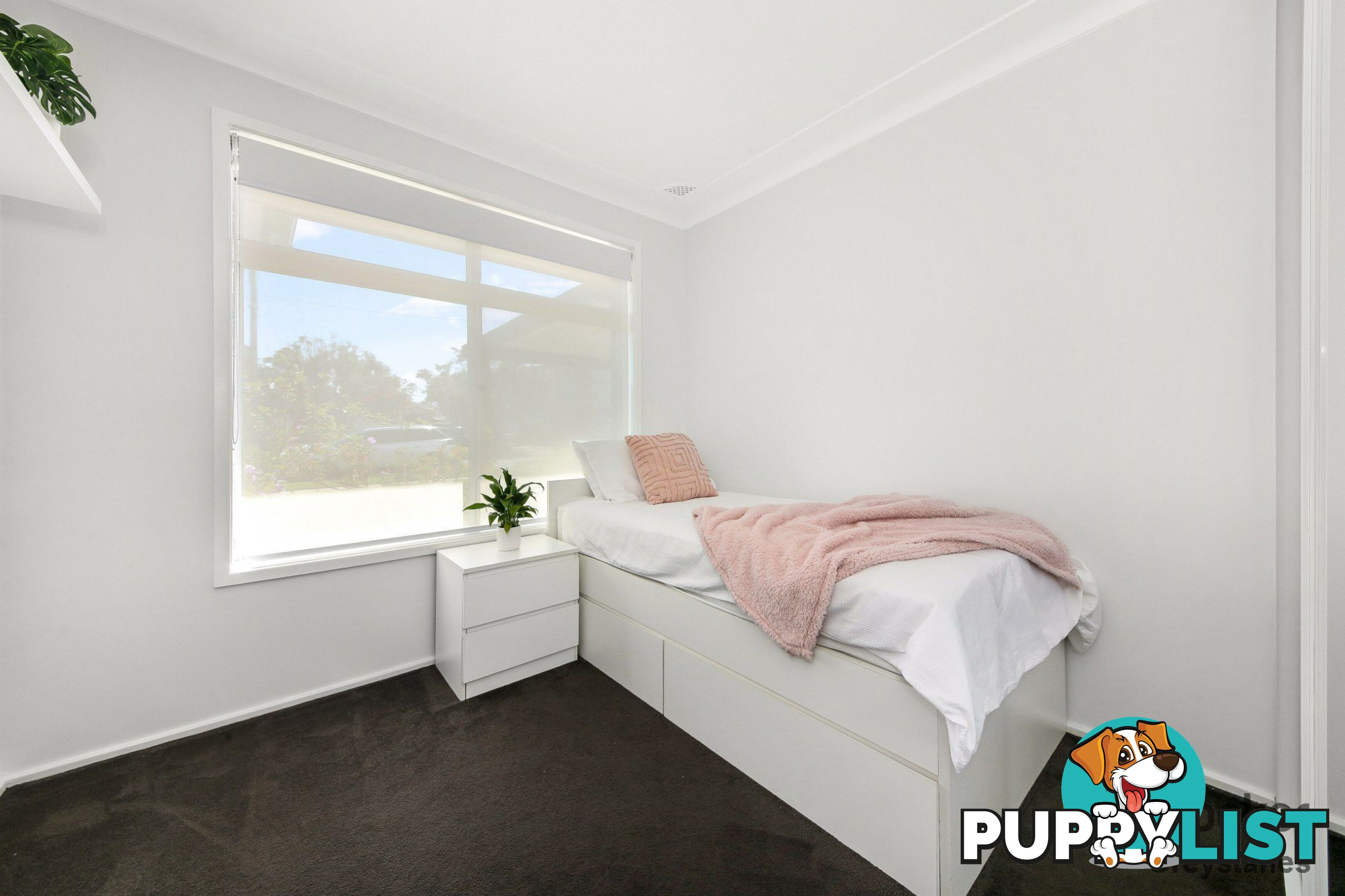 8 GOZO ROAD GREYSTANES NSW 2145