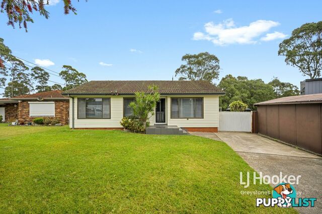 3 Warner Place GREYSTANES NSW 2145
