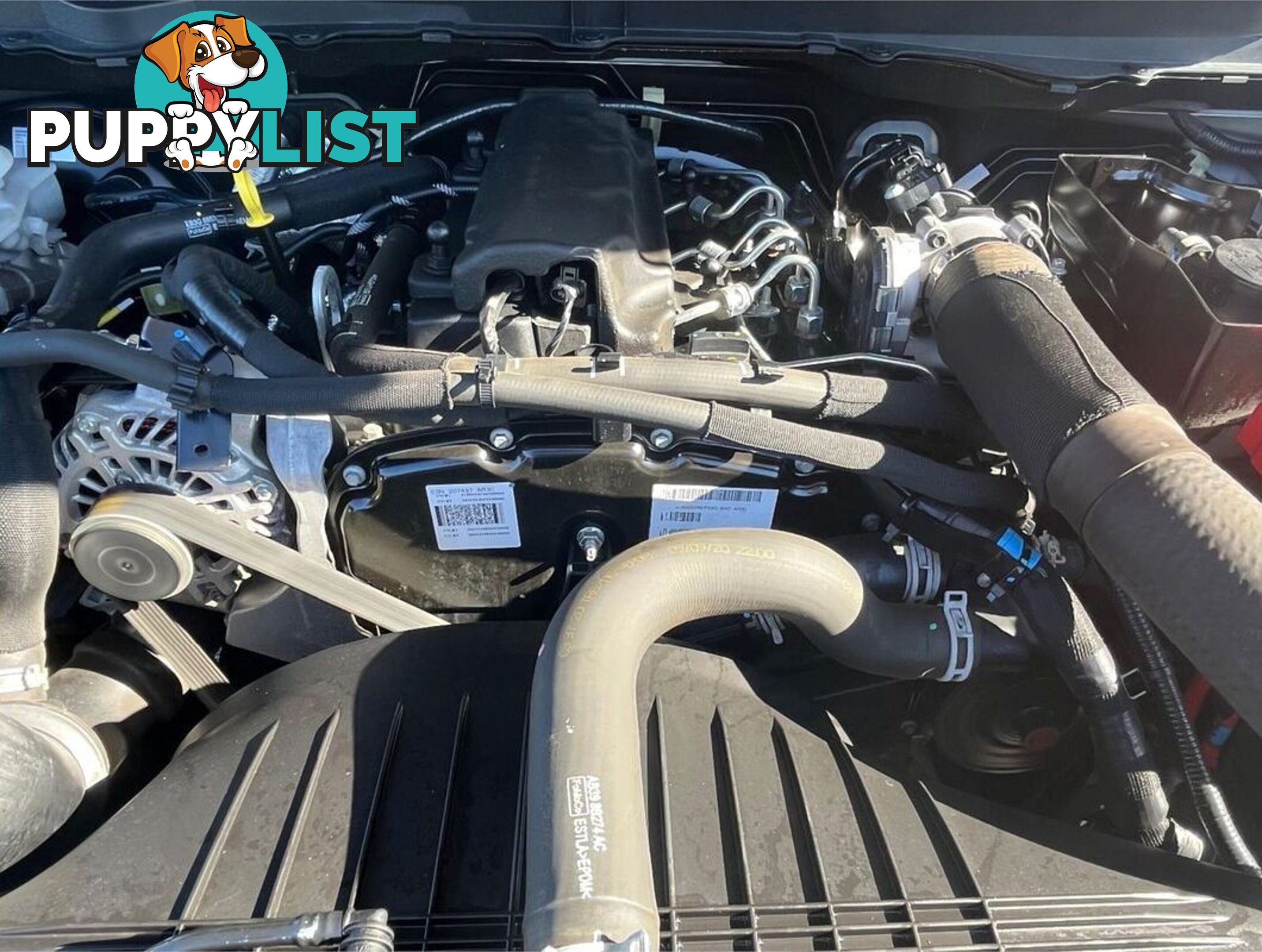 2021 FORD RANGER XL HI-RIDER PX MKIII UTILITY