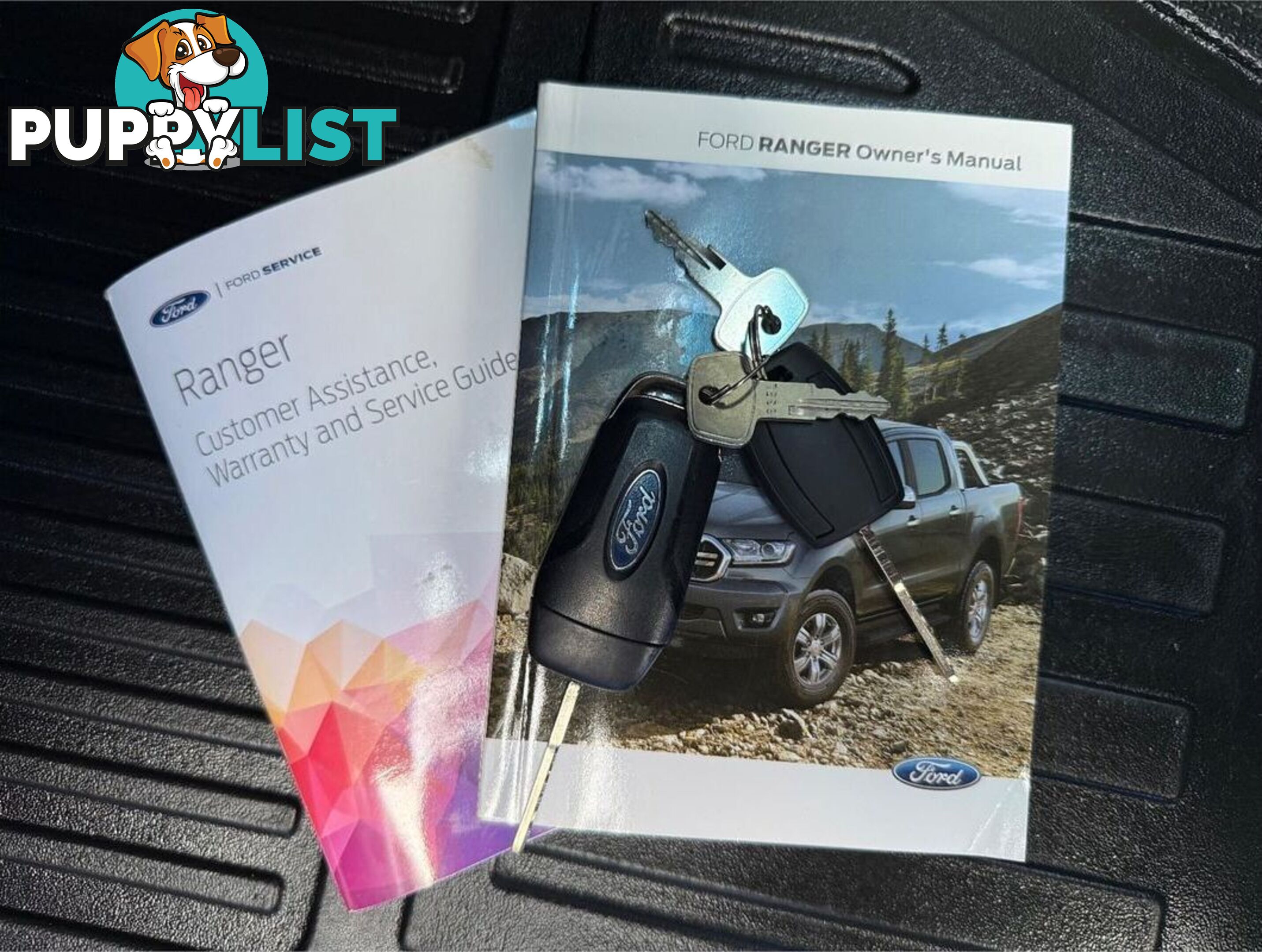 2019 FORD RANGER XL HI-RIDER PX MKIII CAB CHASSIS