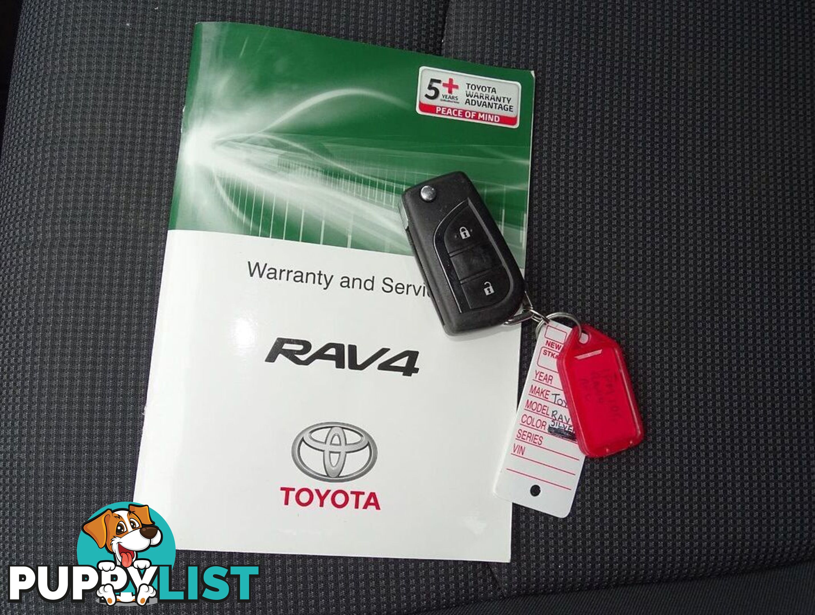 2019 TOYOTA RAV4 GX MXAA52R WAGON