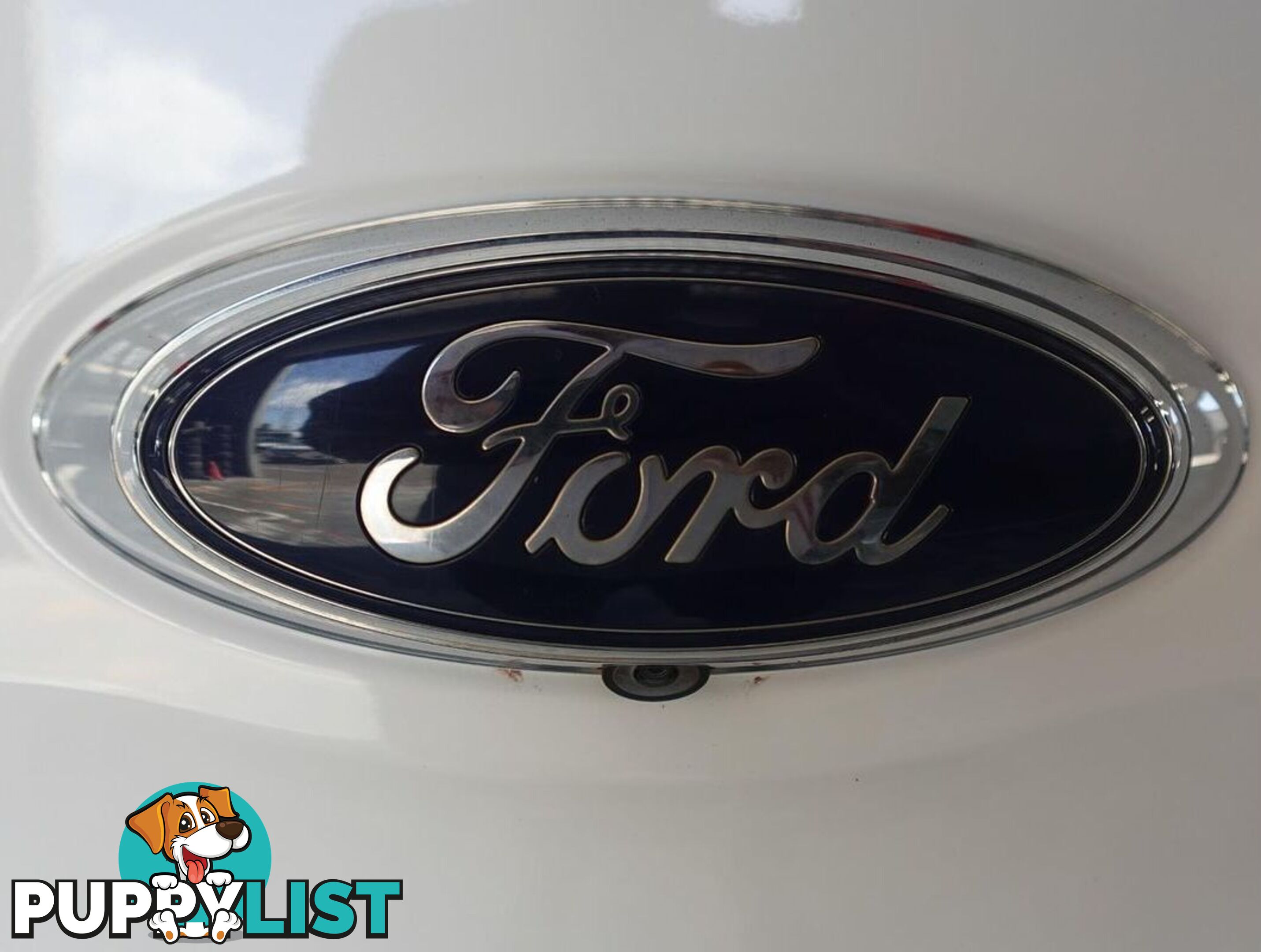 2019 FORD RANGER XL PX MKIII UTILITY