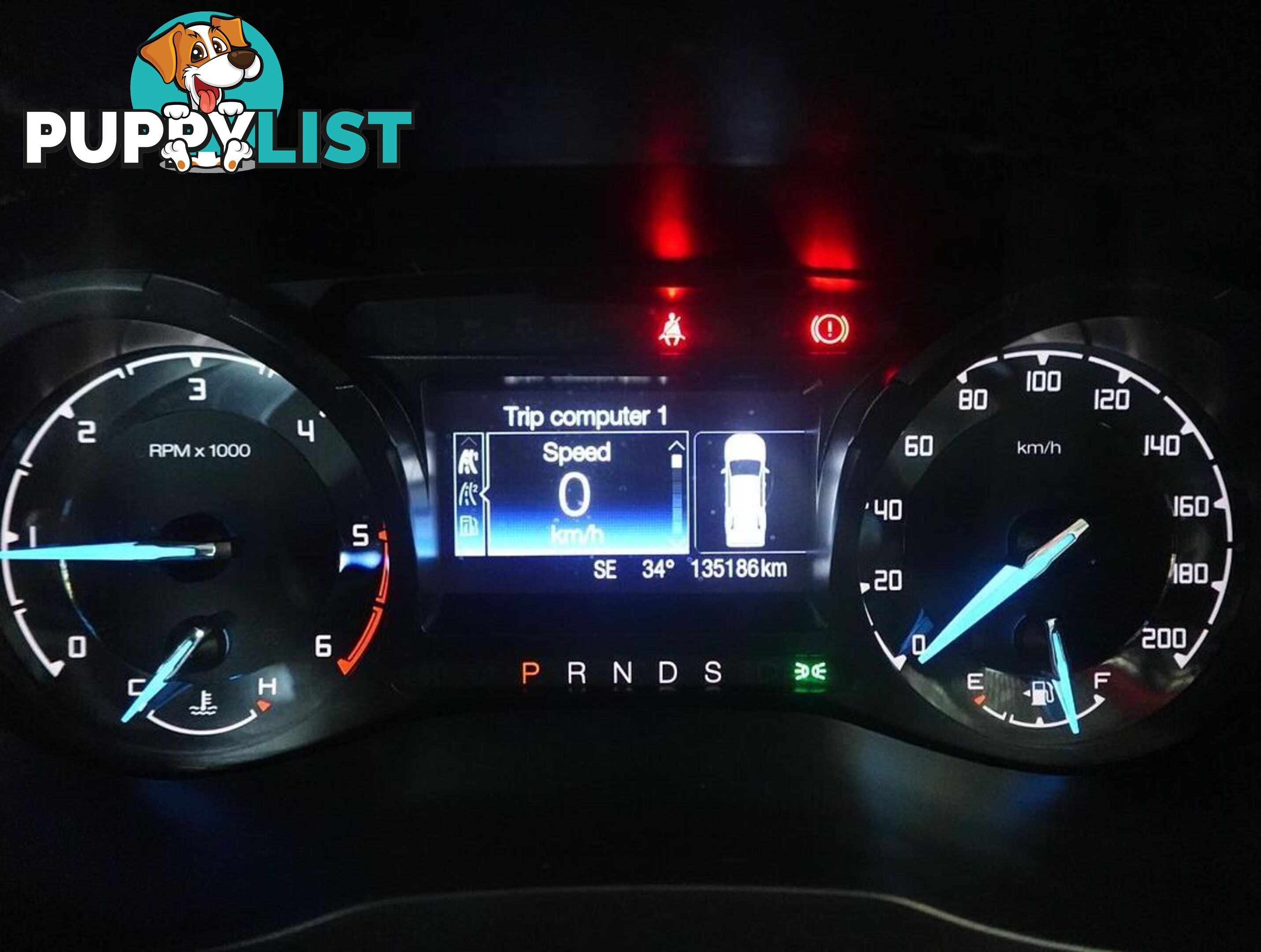2019 FORD RANGER XL PX MKIII UTILITY