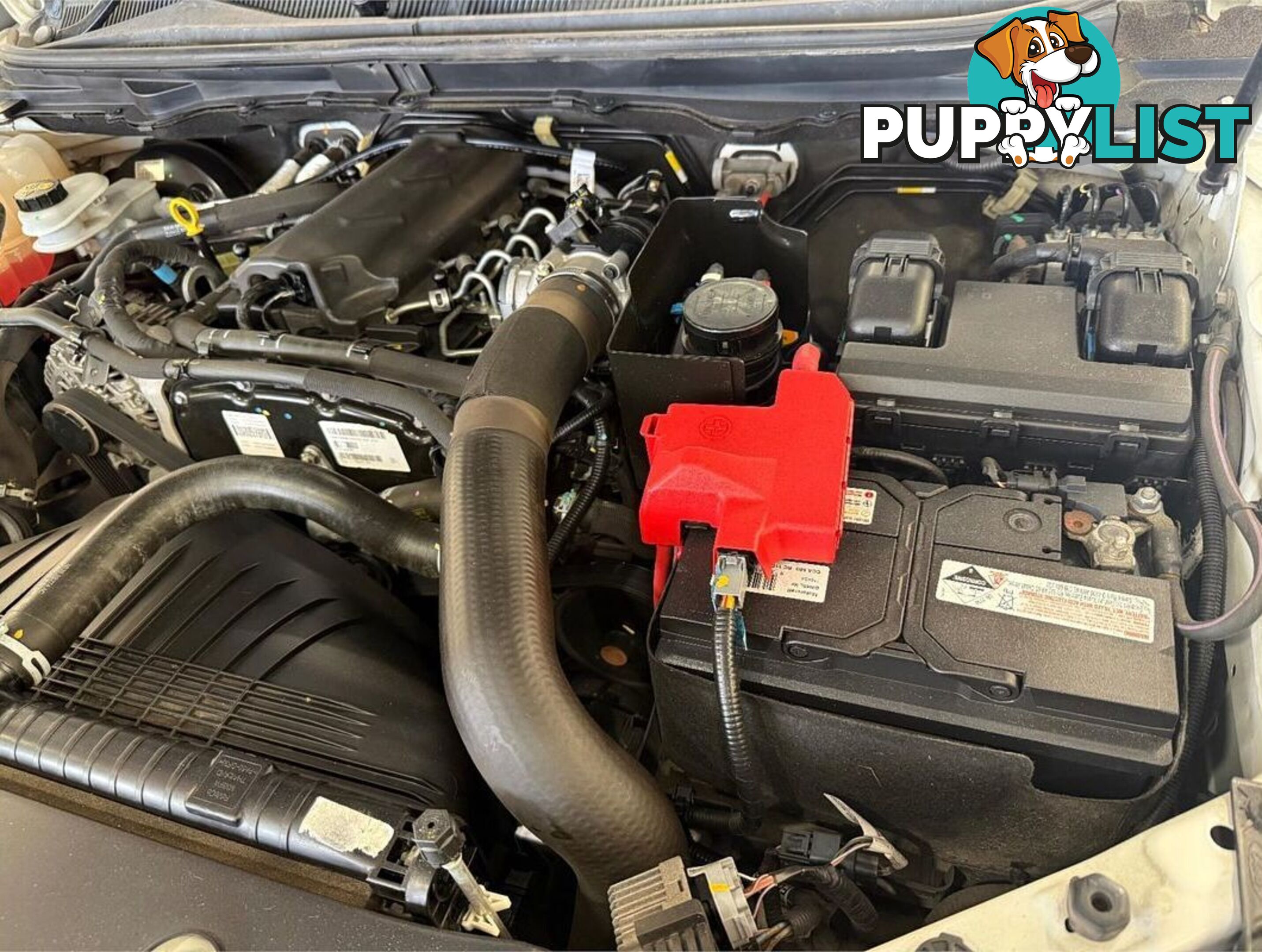 2018 FORD RANGER XL HI-RIDER PX MKII CAB CHASSIS