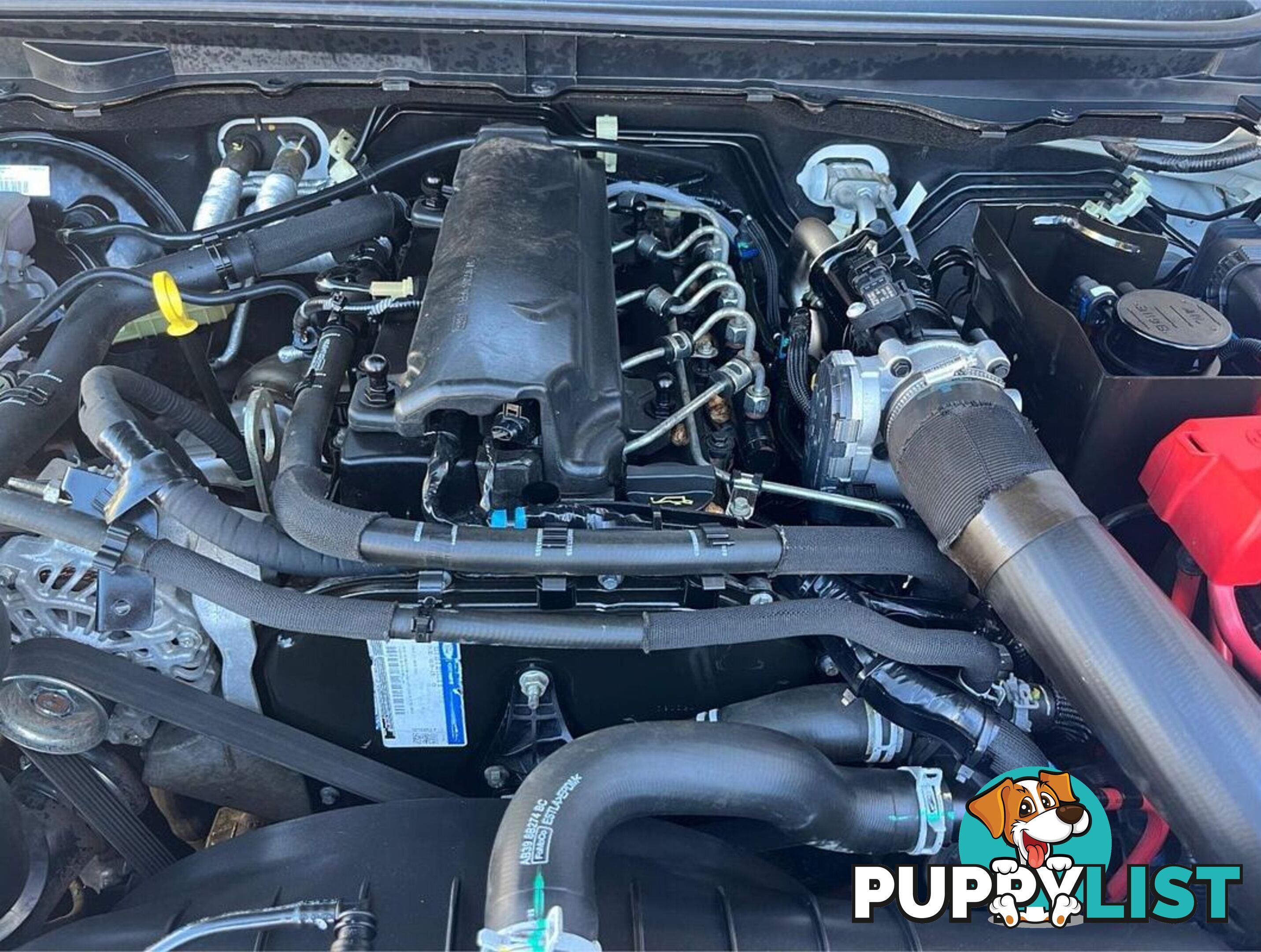 2020 FORD RANGER XL PX MKIII CAB CHASSIS