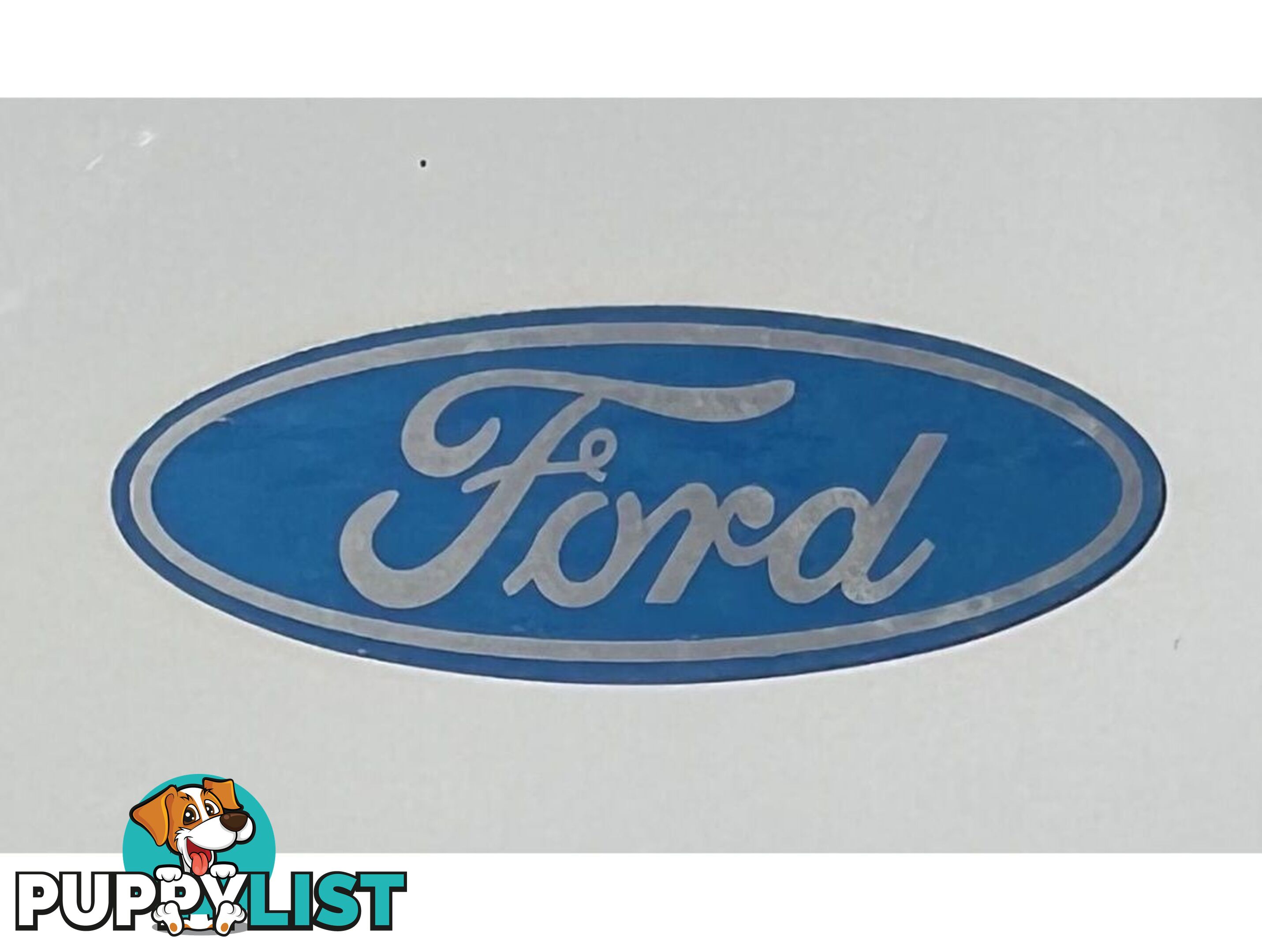 2019 FORD RANGER XL PX MKIII UTILITY