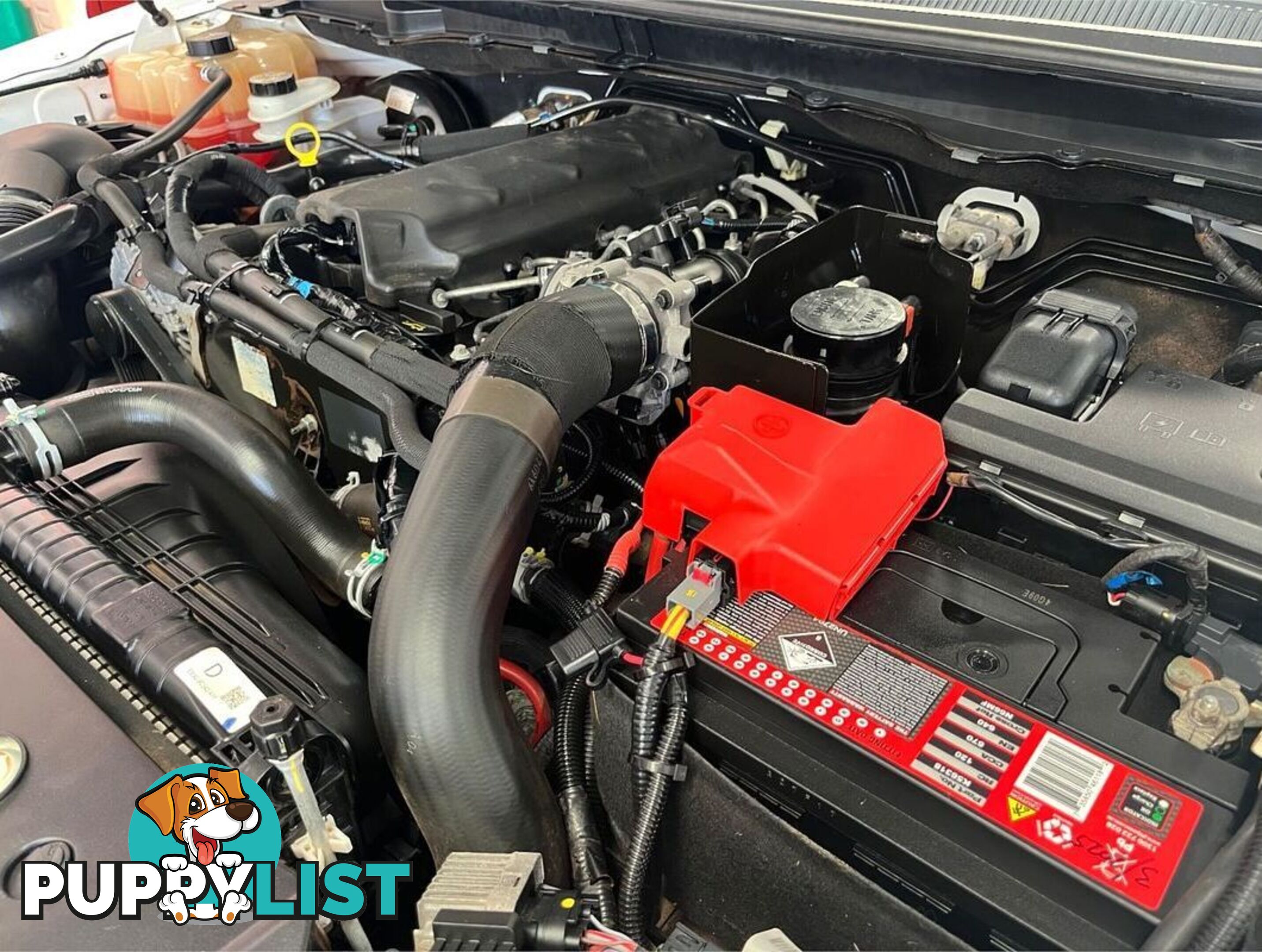 2019 FORD RANGER XL PX MKIII CAB CHASSIS